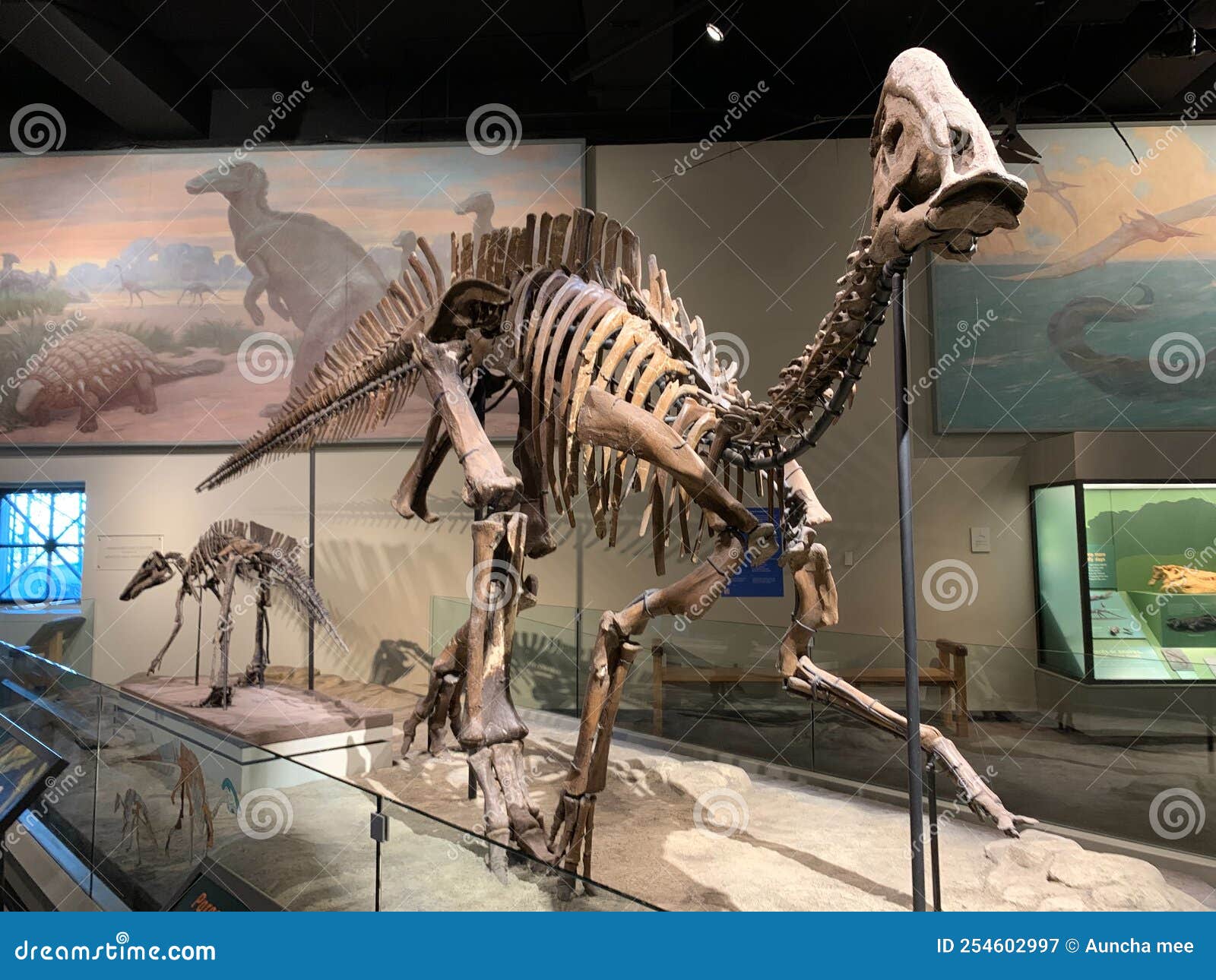 Chicago,USA ; August 24,2022 the Main Hall of the Field Museum with