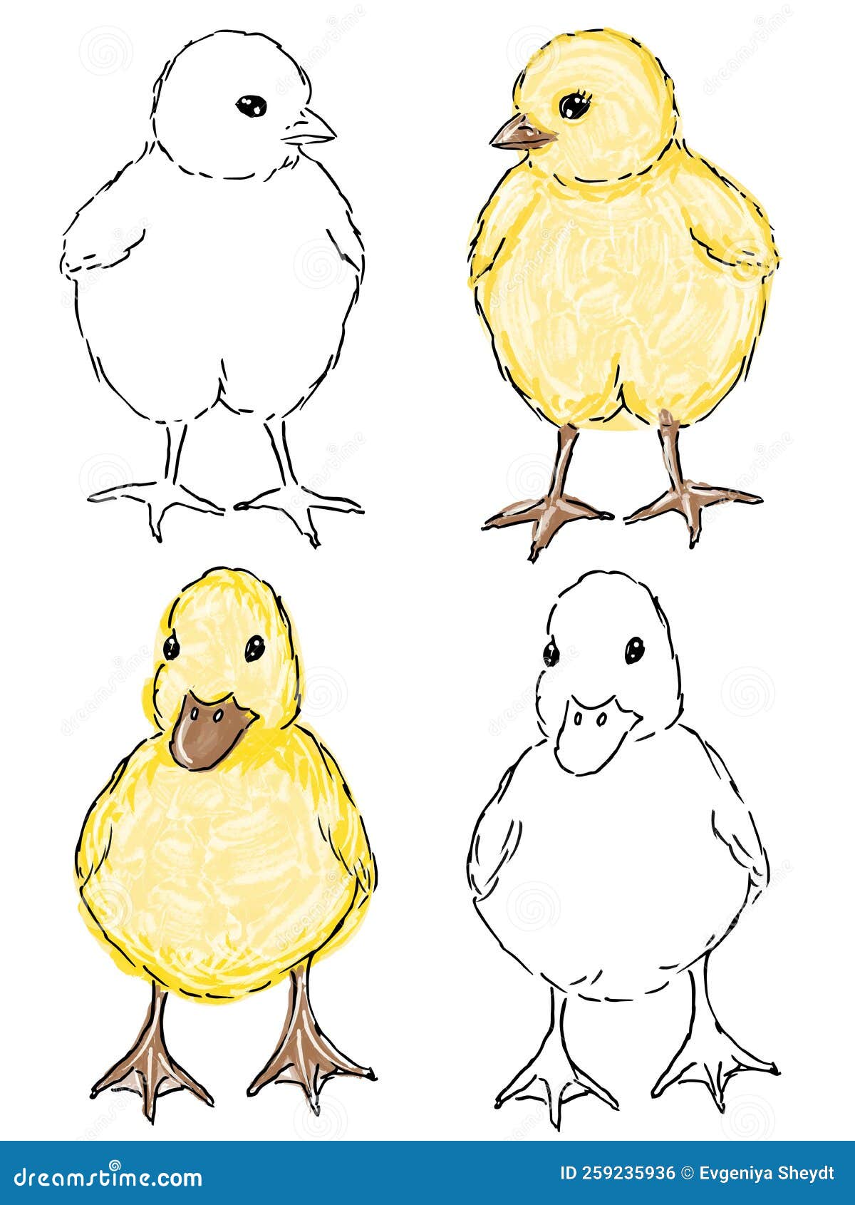 3,719 Baby Chick Sketch Images, Stock Photos, 3D objects, & Vectors |  Shutterstock