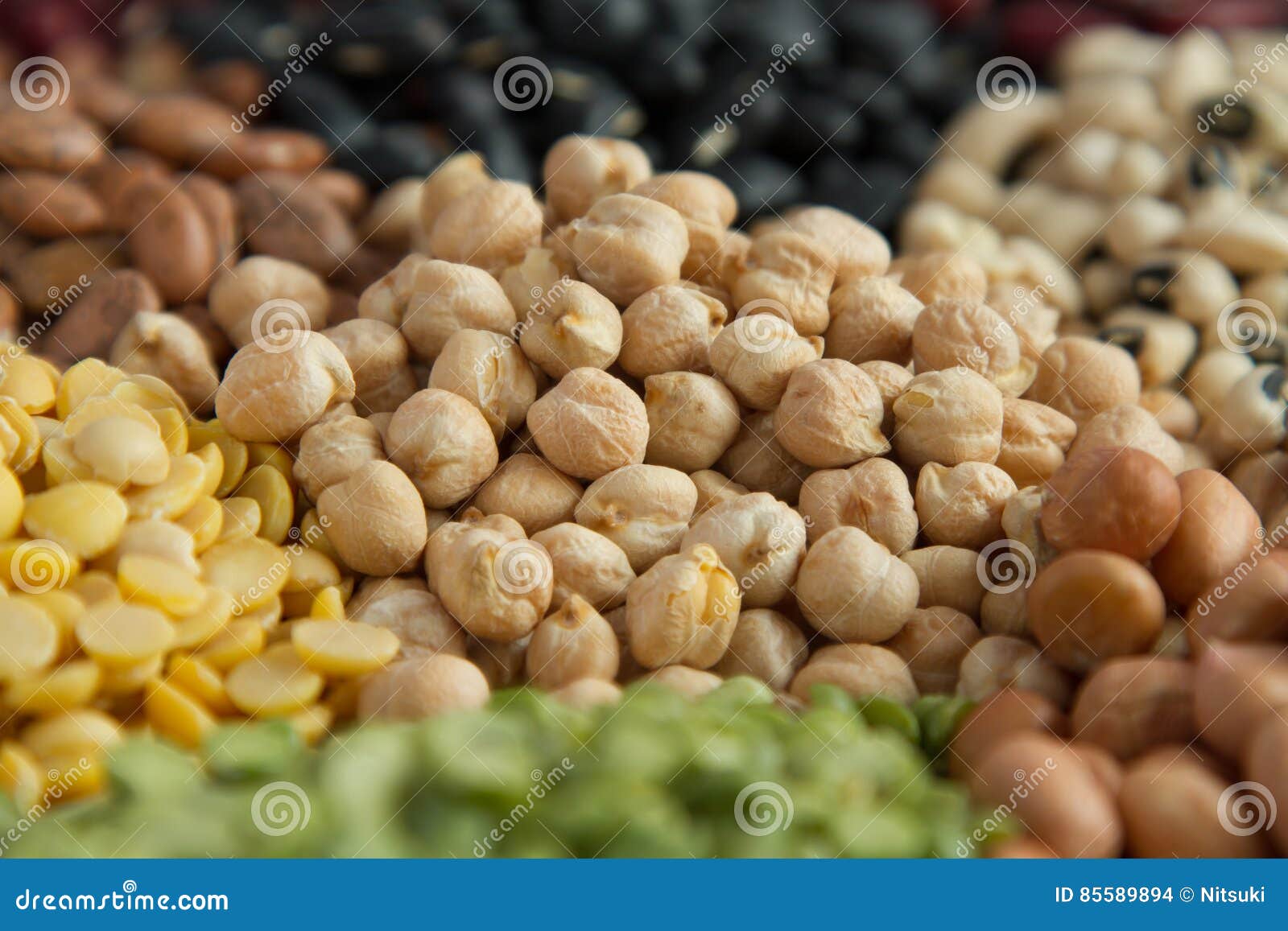 Chick Pea and Different Legumes Seed Stock Photo Image of soya