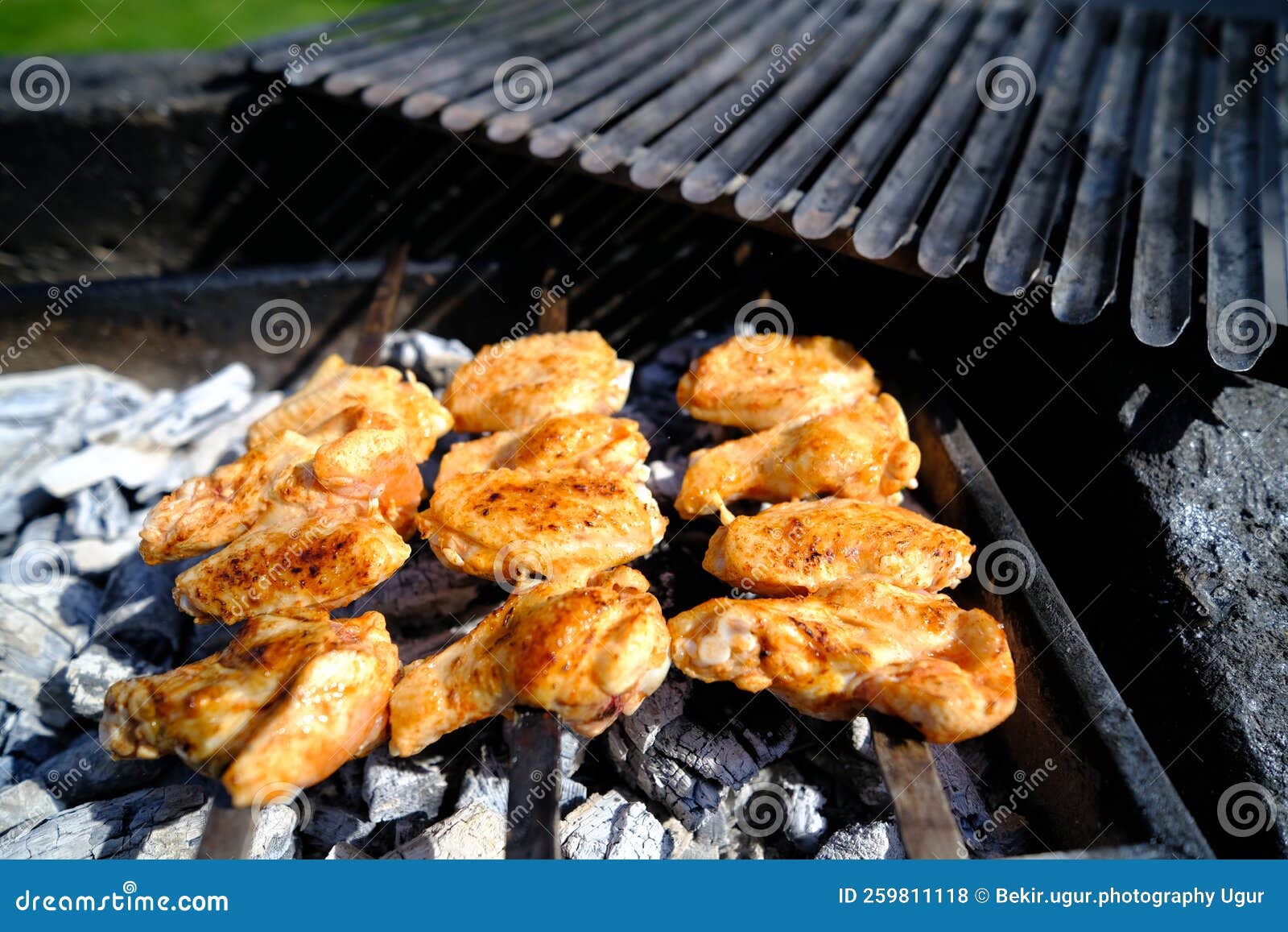 Chicken barbeque stock photo. Image of flame, picnic 259811118