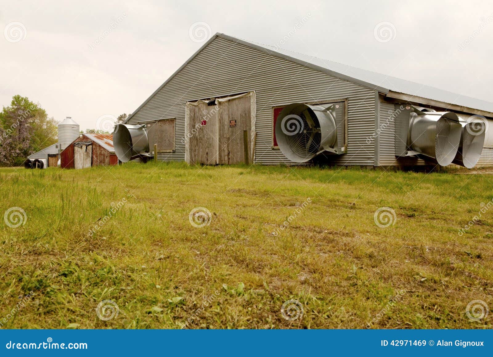 A chicken barn, Chesapeake editorial stock image. Image of industry
