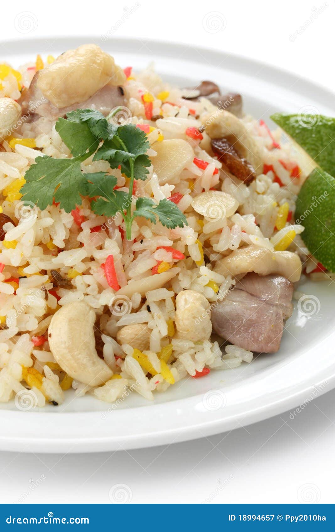 Chicken Biryani , Indian Pilau Rice Stock Image Image of basmati