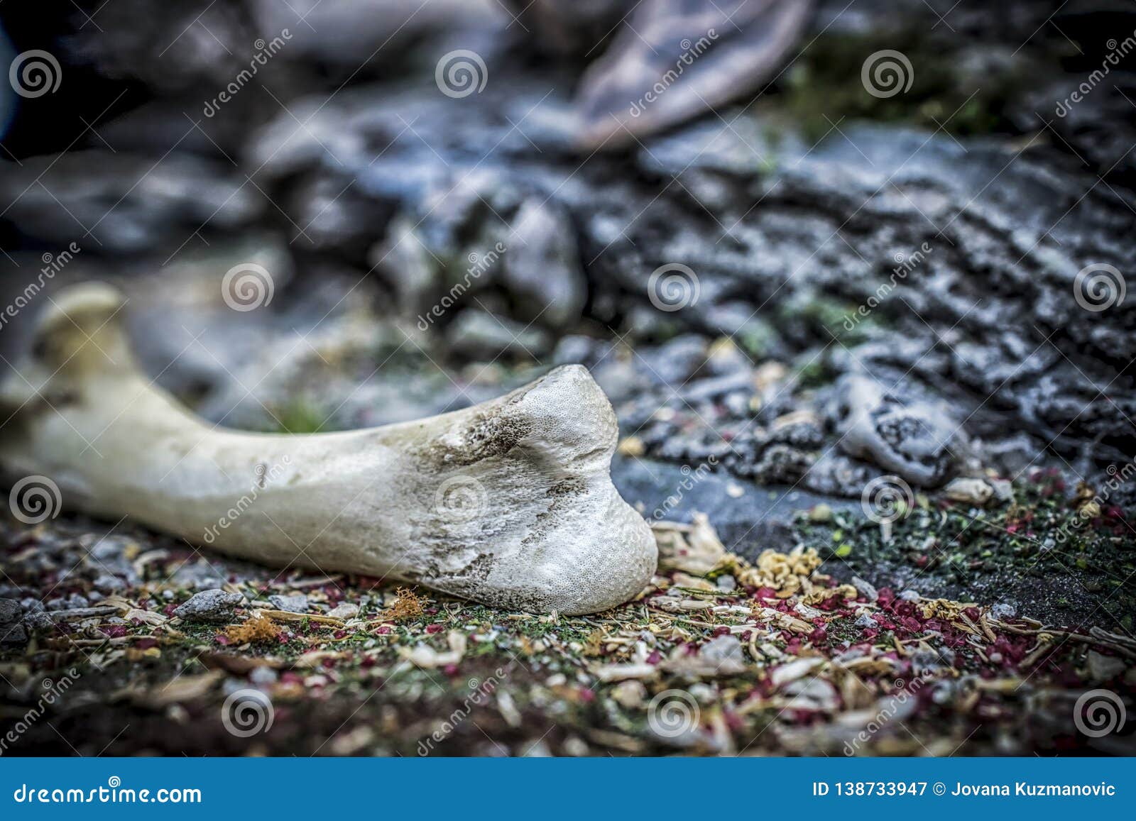 a chicken bone as a part of wargaming scenery