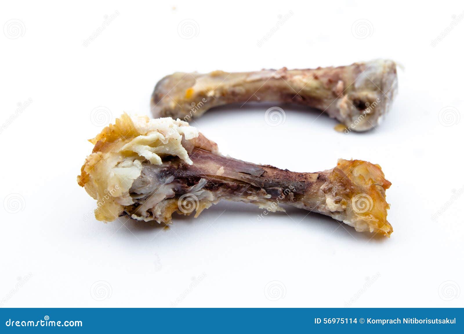 chicken bones 