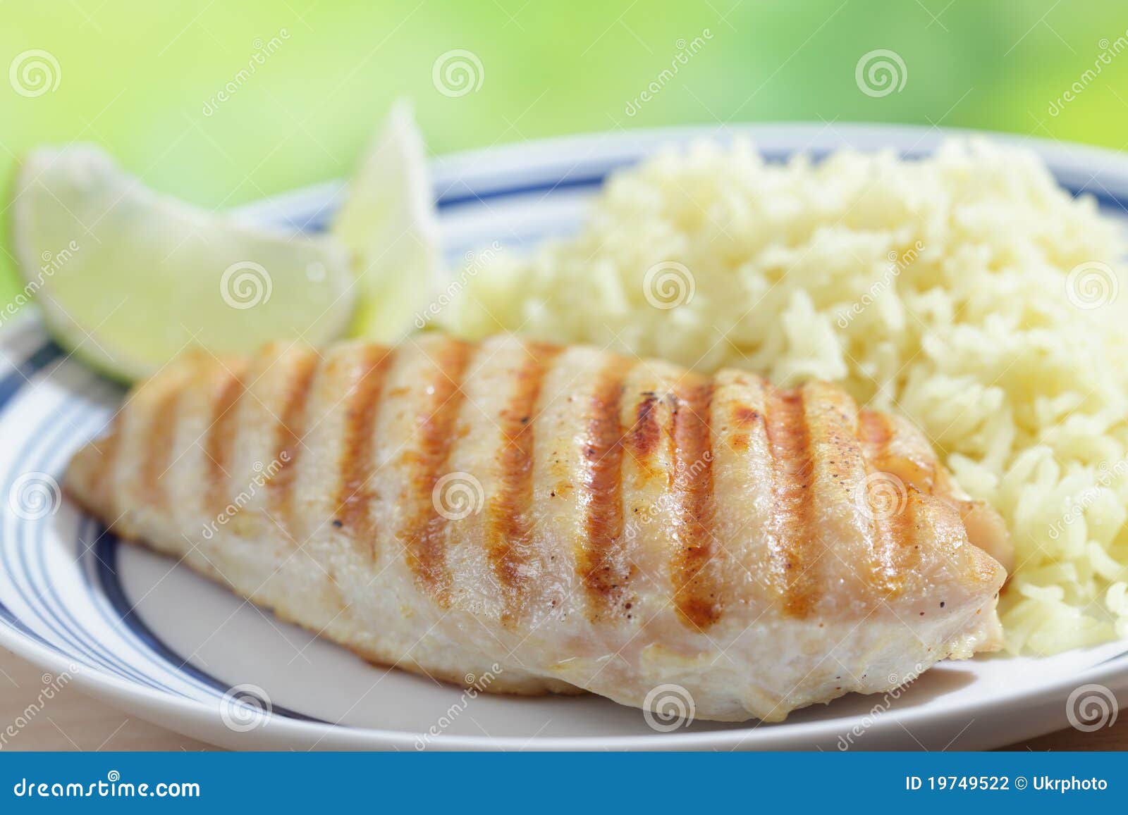 Chicken breast with rice stock photo. Image of chicken 19749522