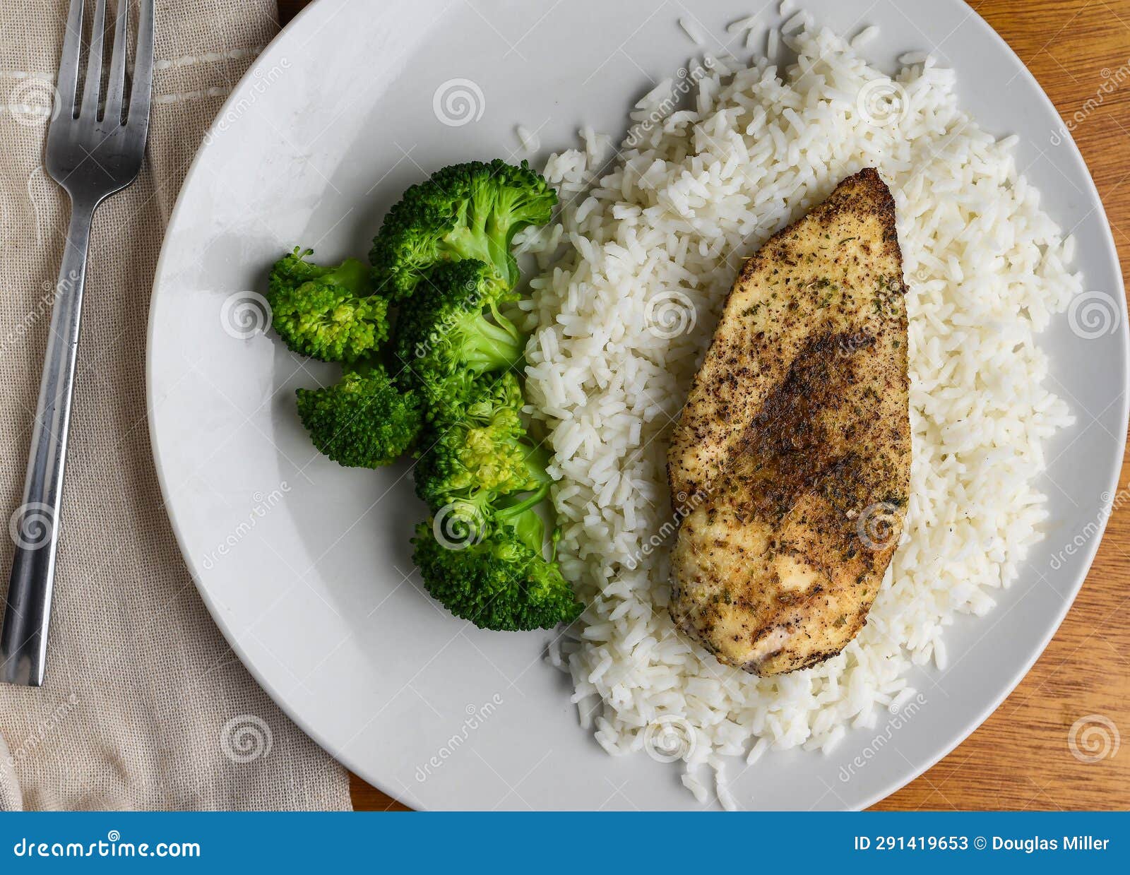 Chicken Breast and Rice Served with Broccoli Stock Image Image of white, meal 291419653