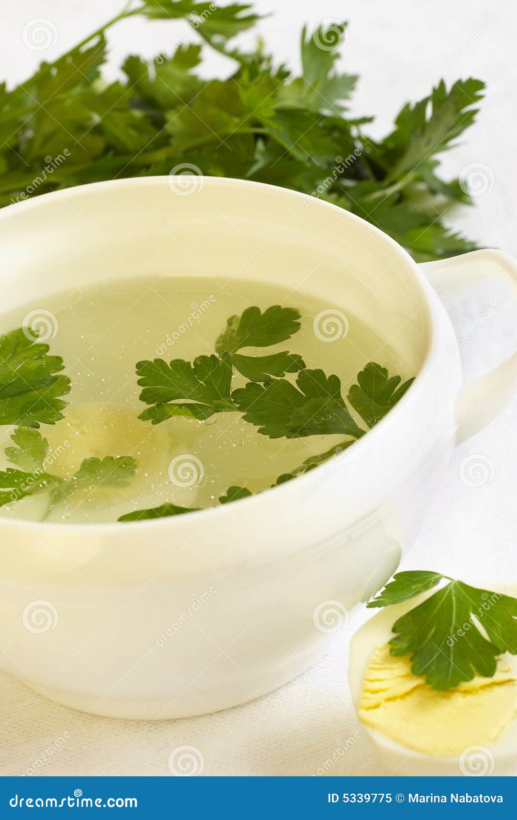 Chicken broth stock image. Image of broth, soup, greens 5339775