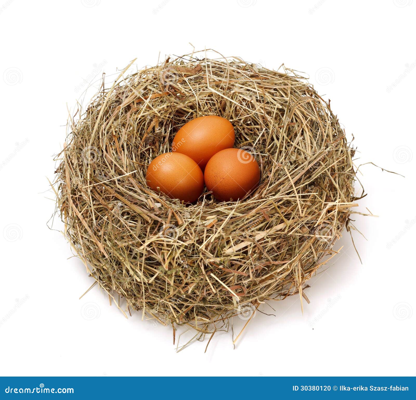 Chicken Brown Eggs In Nest Stock Photo - Image: 30380120