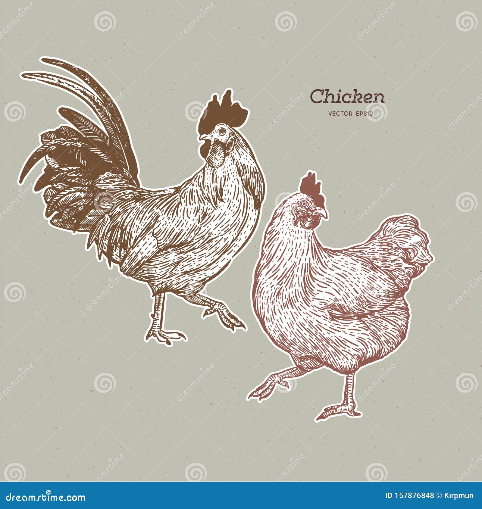 Rooster and Hen Hand Drawn Sketch Vector Illustration Stock Illustration -  Illustration of farm, animal: 273852559