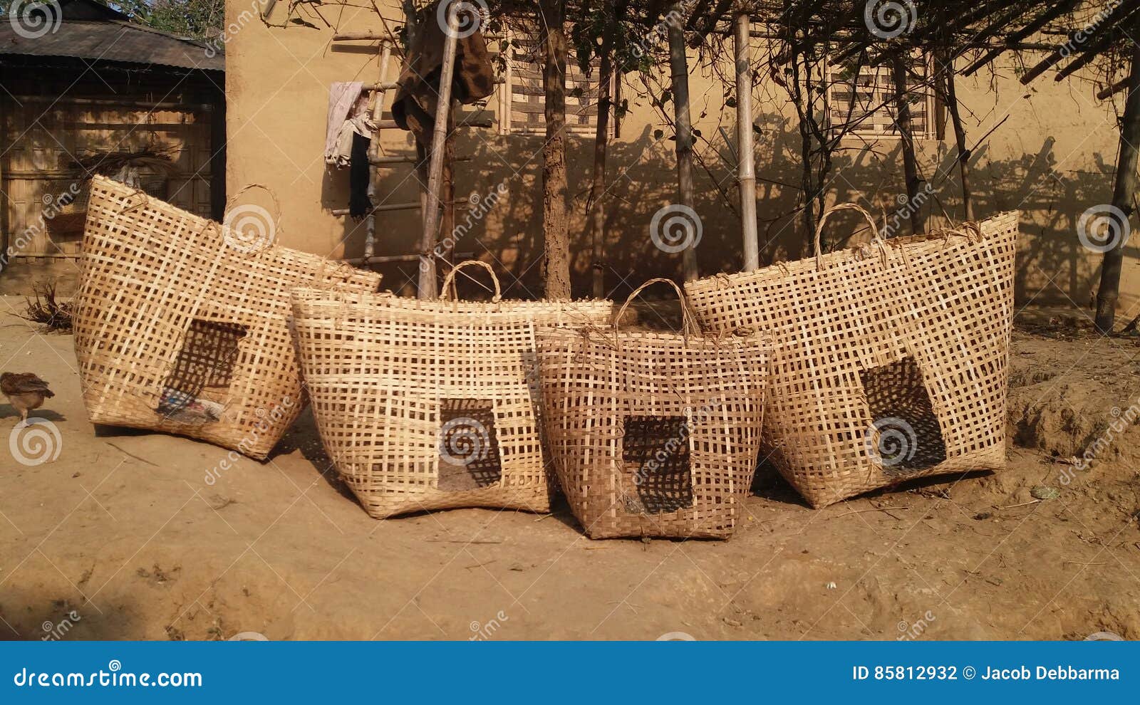 Chicken coop Bamboo stock photo. Image of chicken, bamboo 85812932