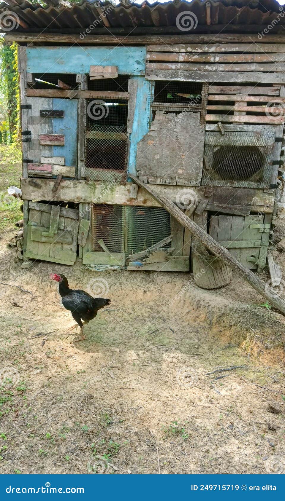The Chicken coop is dirty stock image. Image of coop 249715719