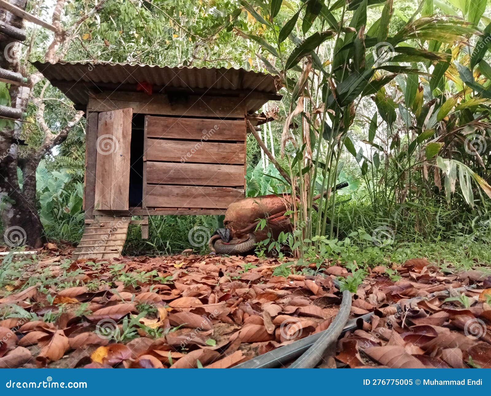 The Chicken Coop in the Forest Looks Simple and Tiny Stock Image