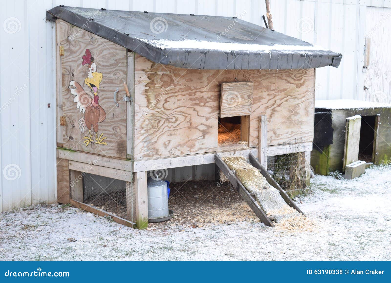 4,456 Chicken Coop Eggs Stock Photos Free & RoyaltyFree Stock Photos