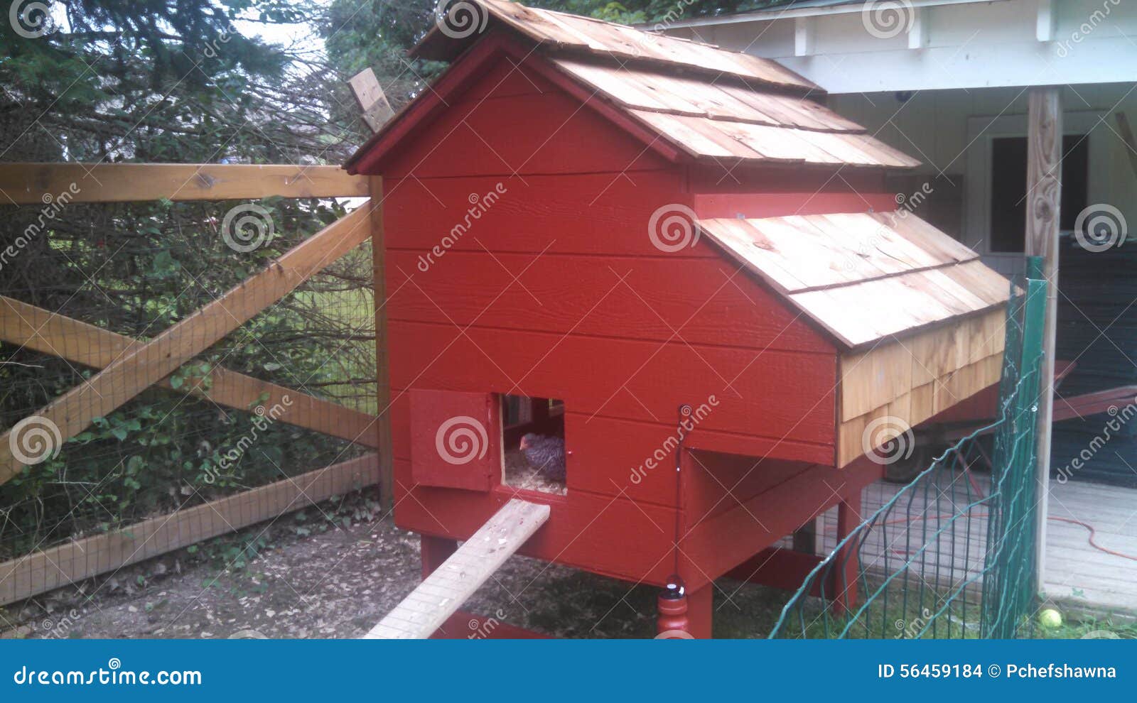 Chicken coop stock photo. Image of nest, rock, coop, barred 56459184