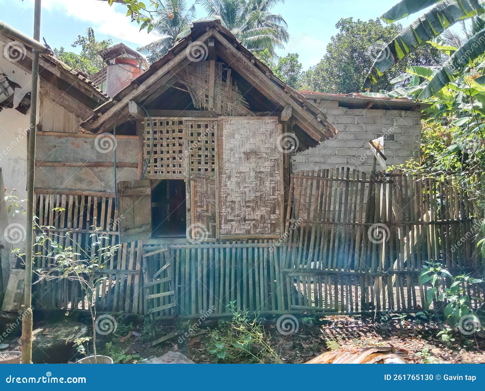 the-chicken-coop-is-where-they-return-to-rest-in-the-morning-all-the