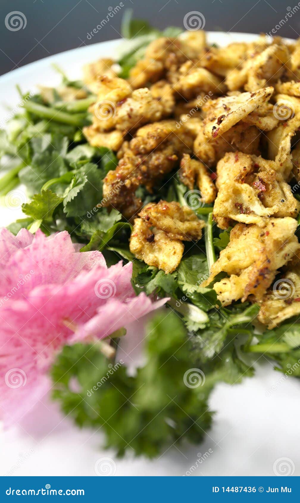 Chicken with cumin stock photo. Image of homemade, orange 14487436