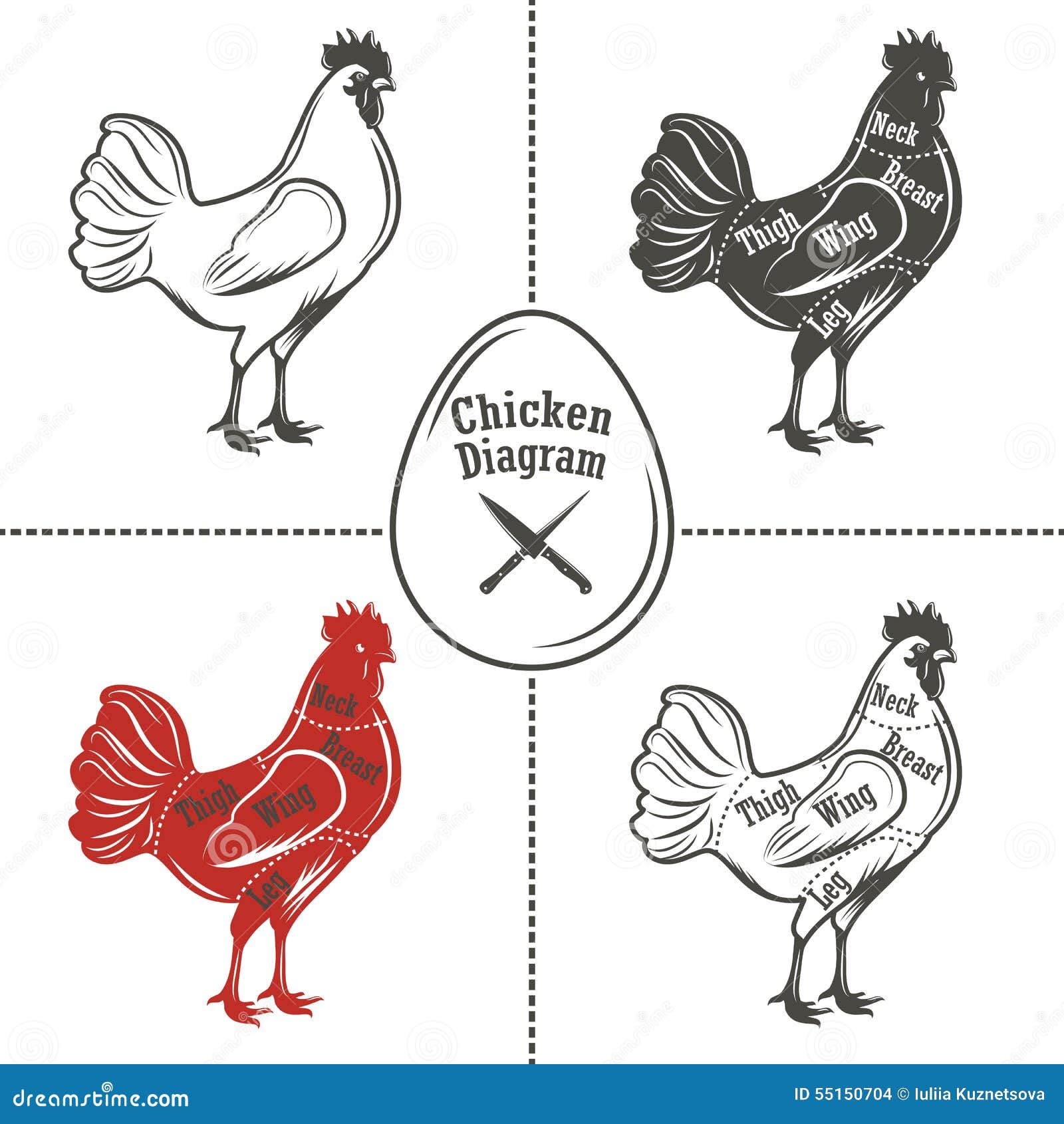 Chicken cuts diagram stock vector. Image of butcher, part 55150704