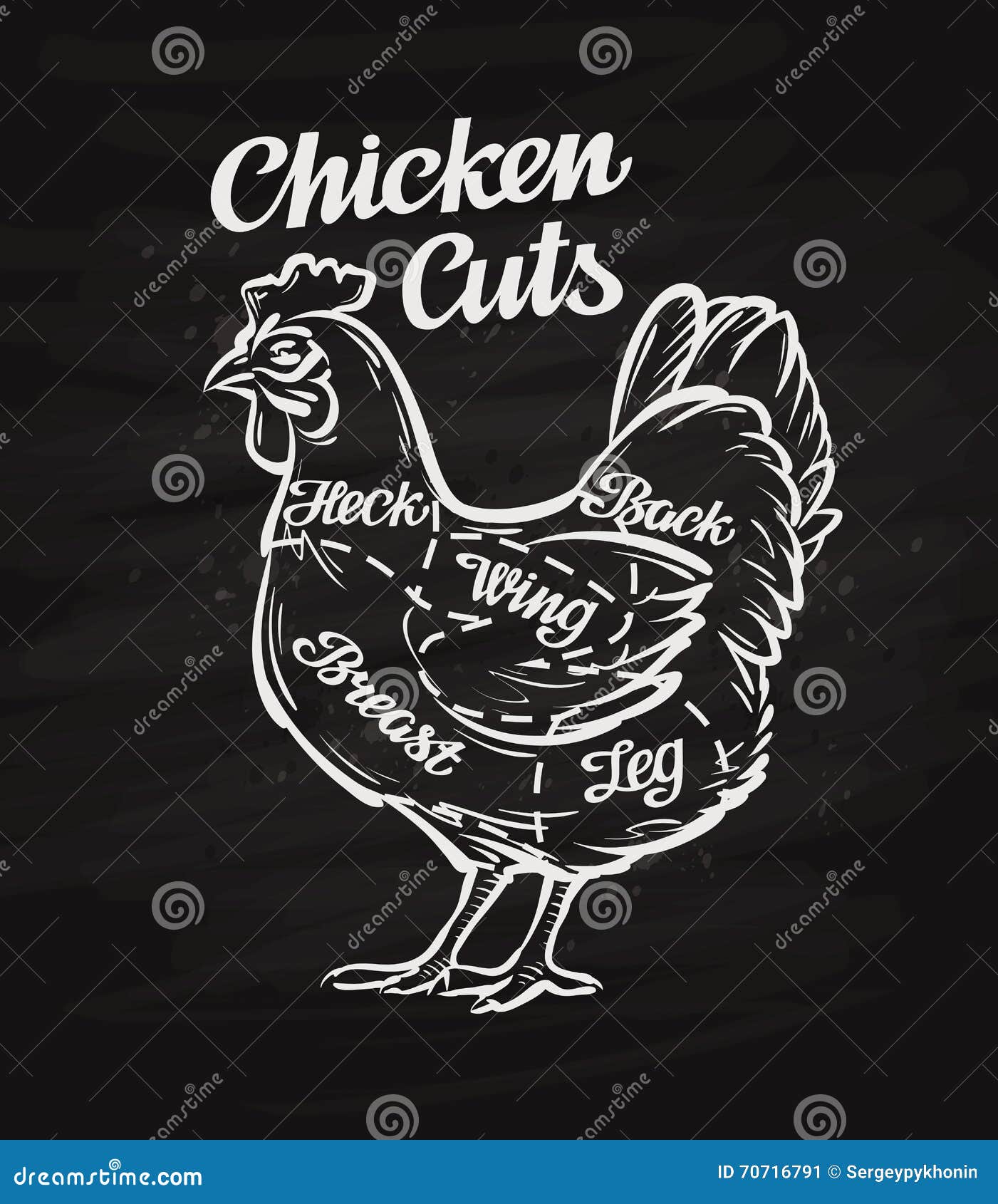 chicken cuts. template menu  for restaurant, cafe