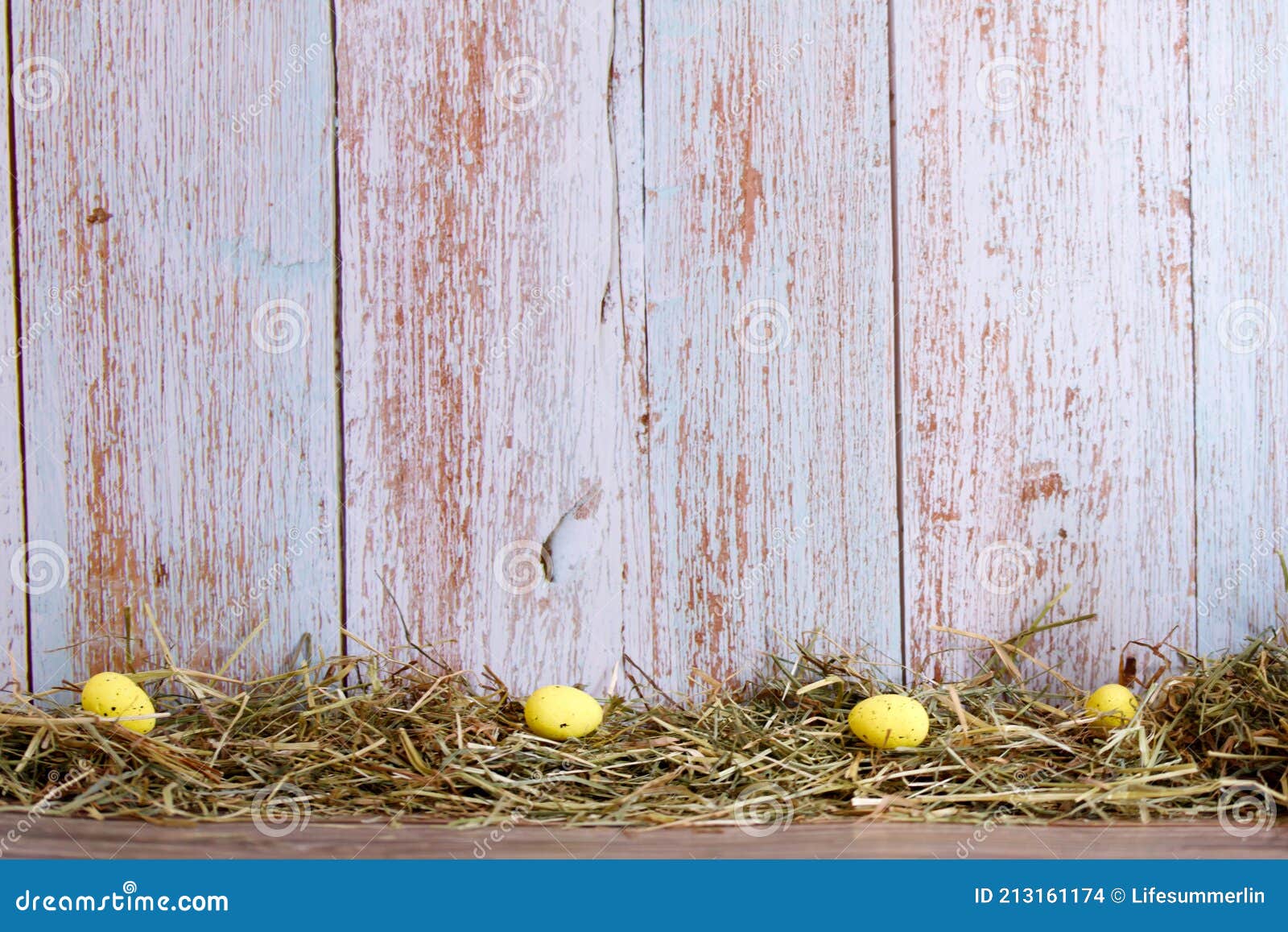 chicken, easter eggs in nest on wooden background. rustic easter theme