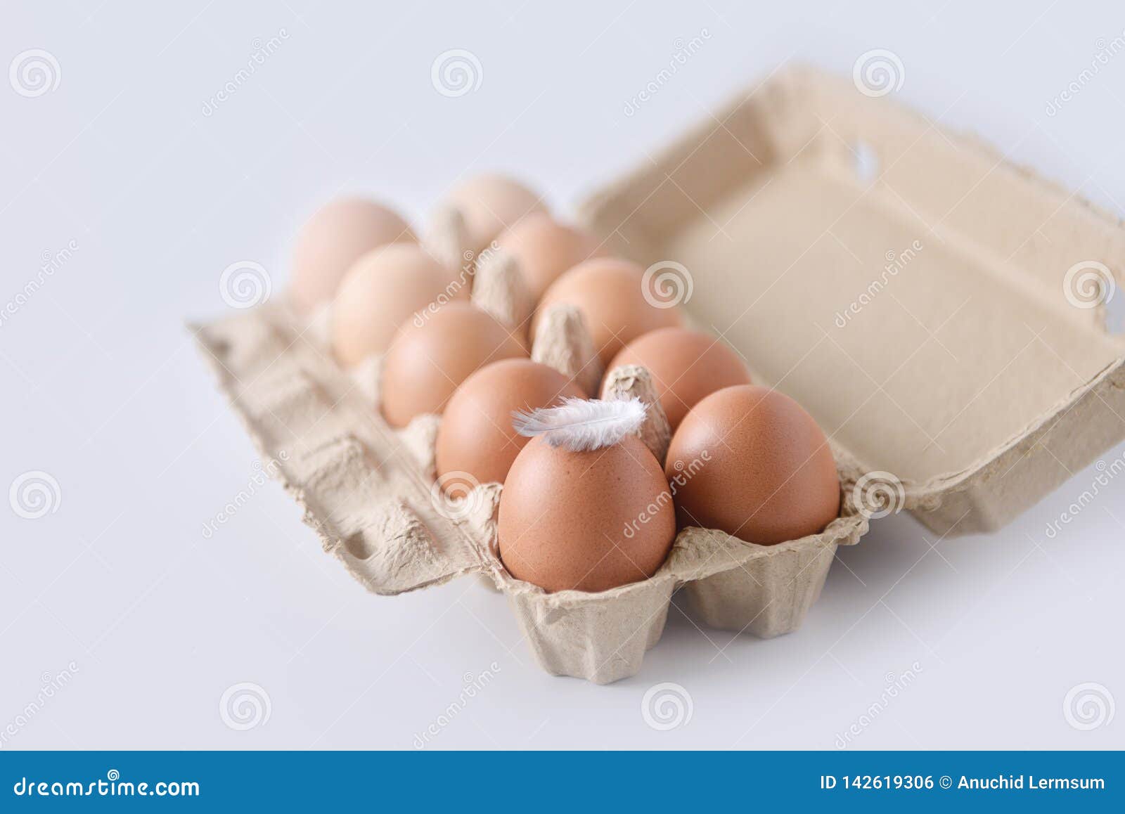 chicken on eggs are arranged in a gradient color tone in eco carton on white background.