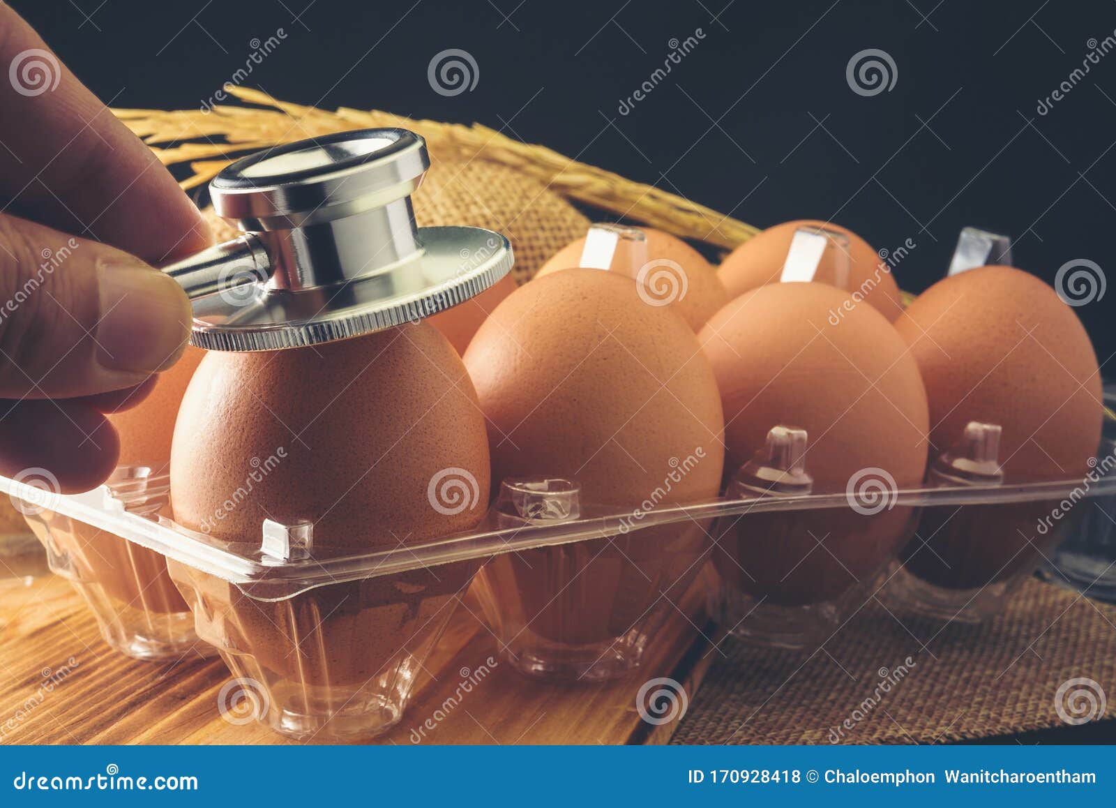 Chicken Eggs that are Being Examined by a Medical Stethoscope Stock