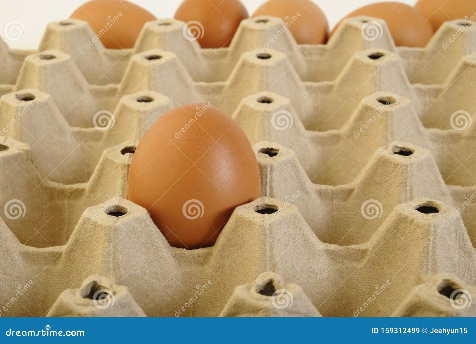 Chicken Eggs in Cardboard Egg Crate Stock Image Image of food