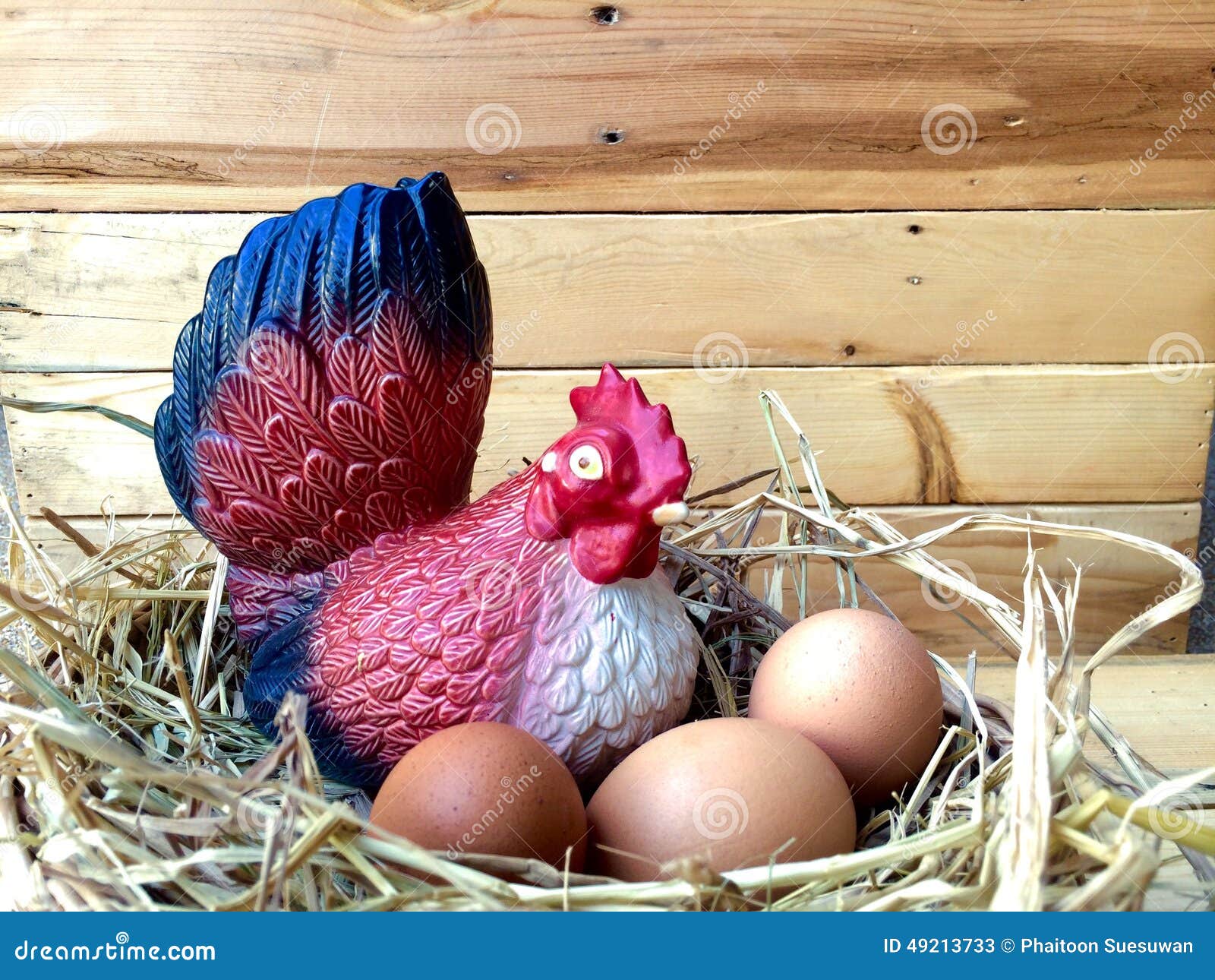 Chicken and eggs stock image. Image of doll, farm, protein 49213733