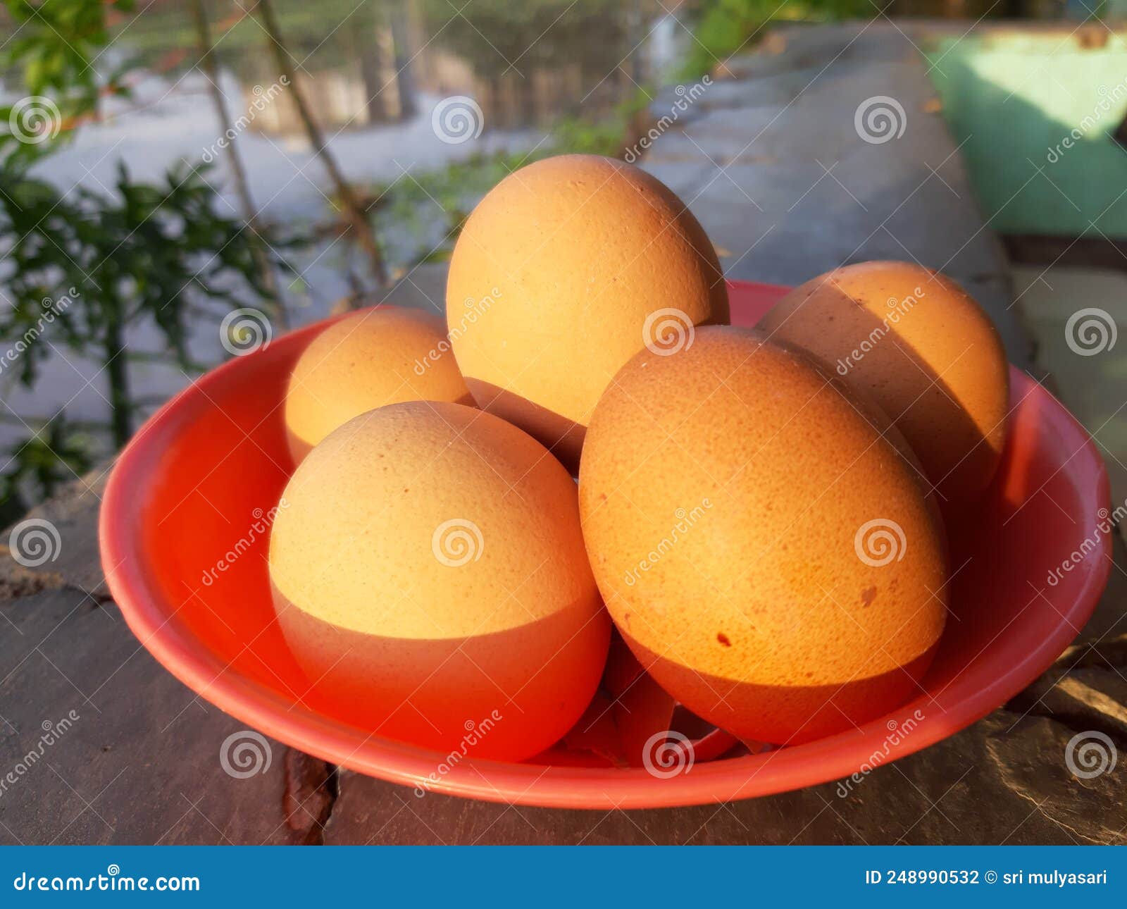 Chicken Eggs Good for Health Stock Photo Image of tomato, apple