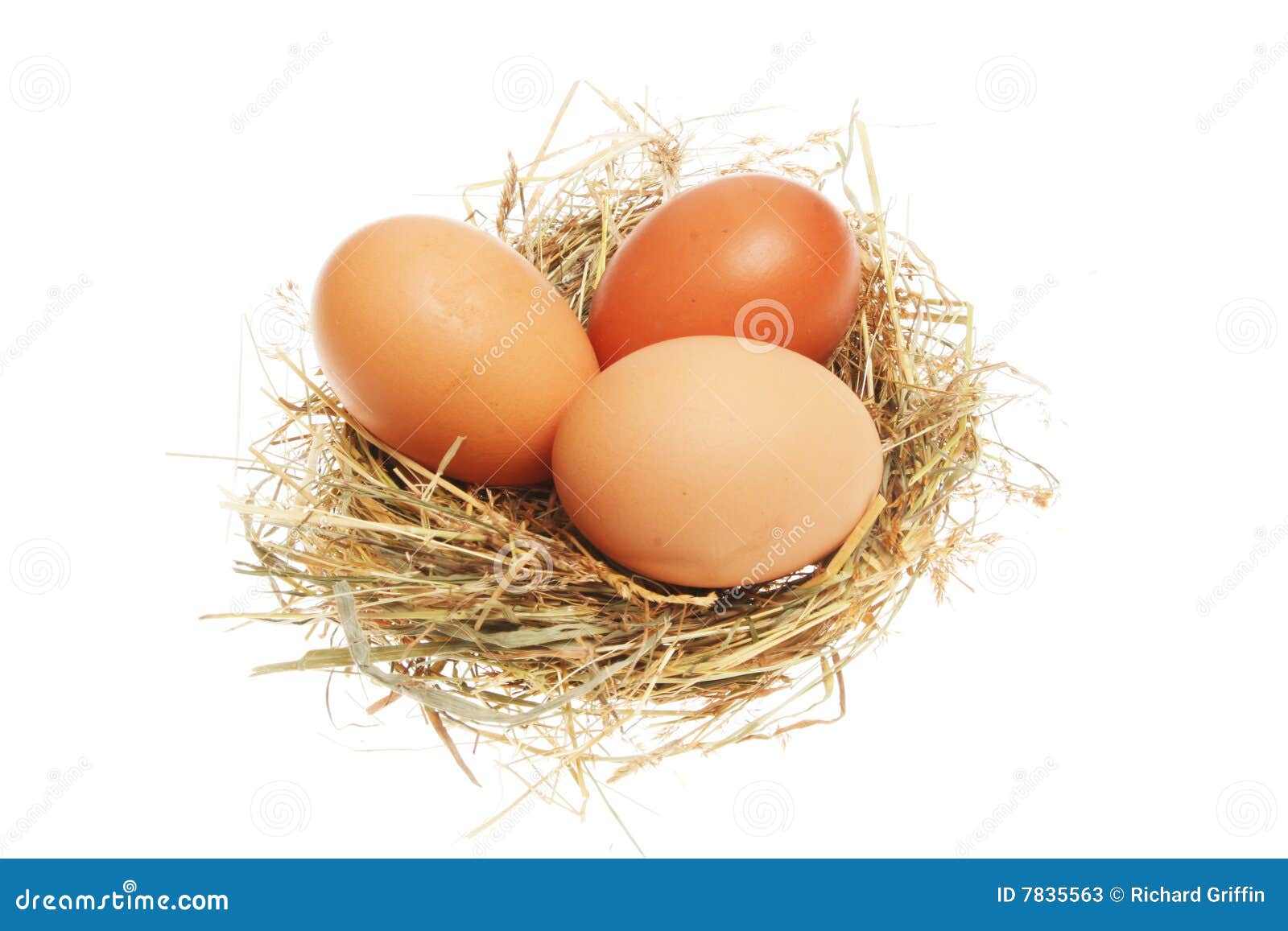 in paper holds glass water Chicken Image: In Eggs 7835563 Nest Stock  Photos