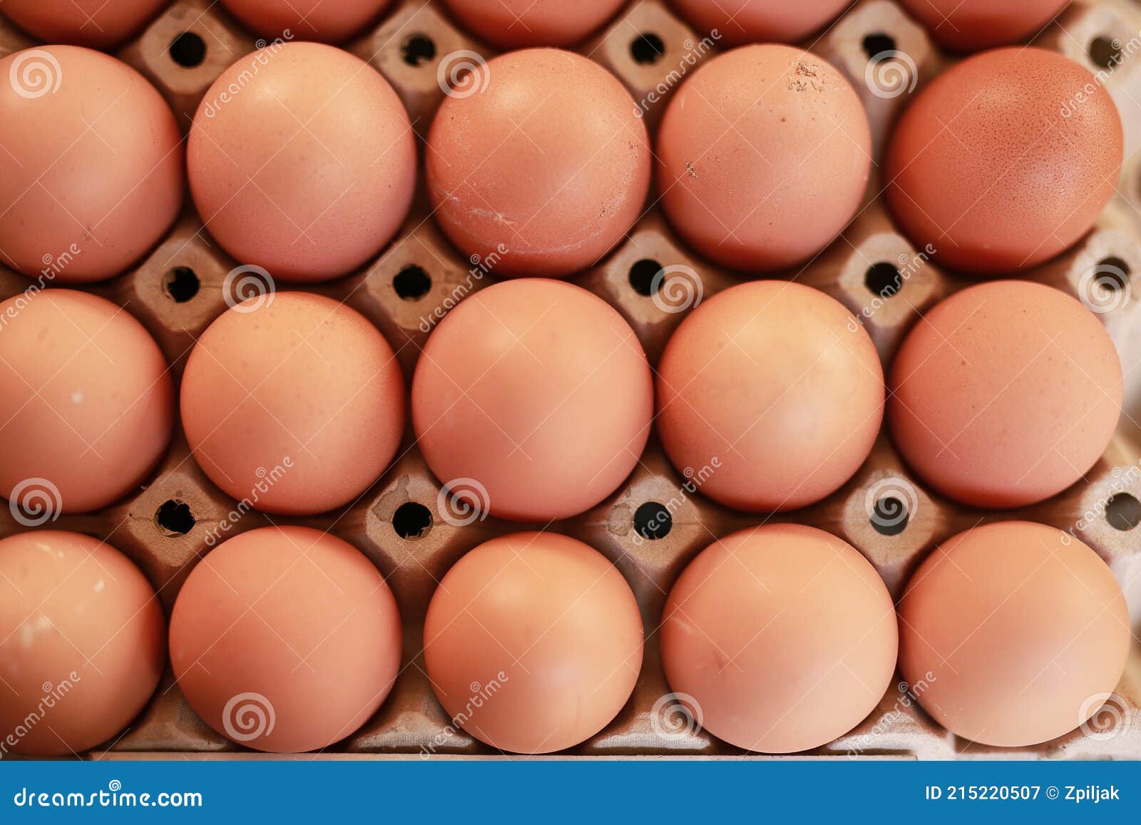 chicken eggs in the package
