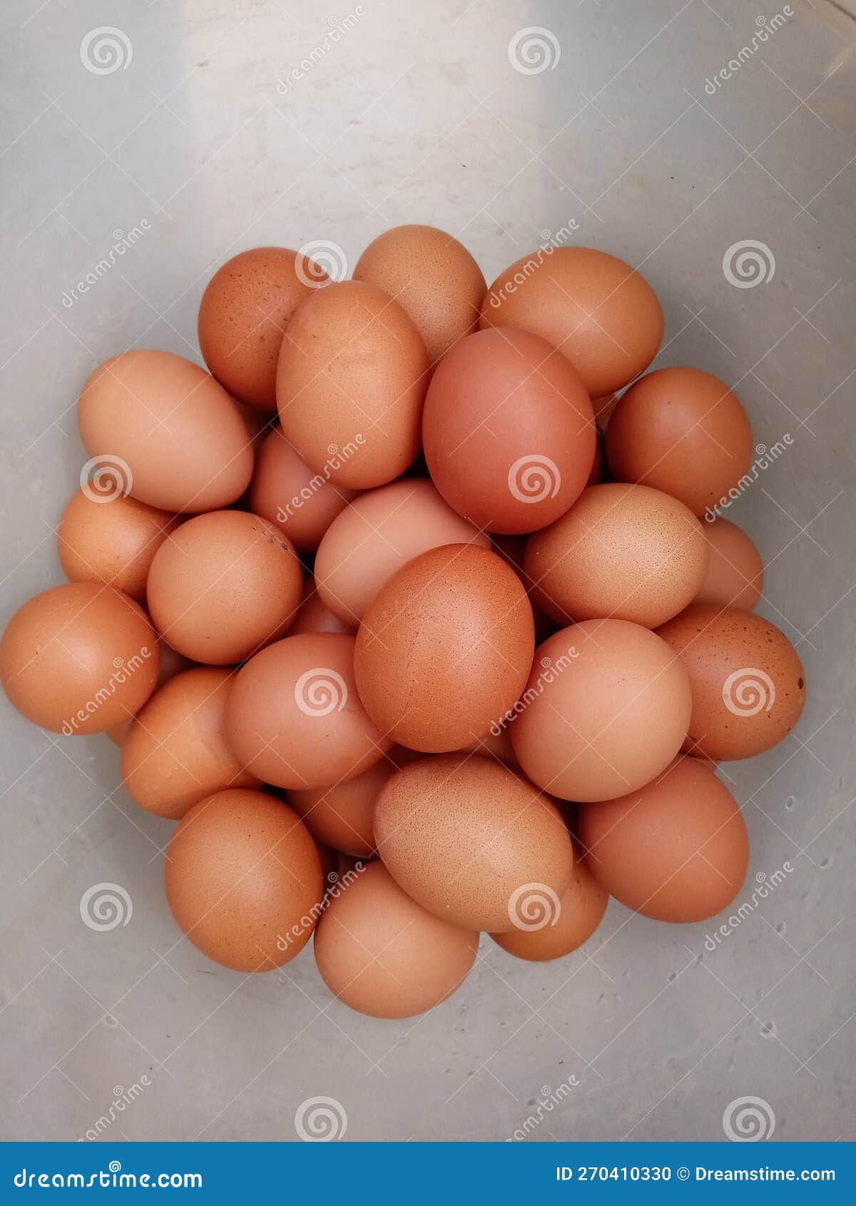 Chicken Eggs are a Source of Animal Protein Stock Photo Image of