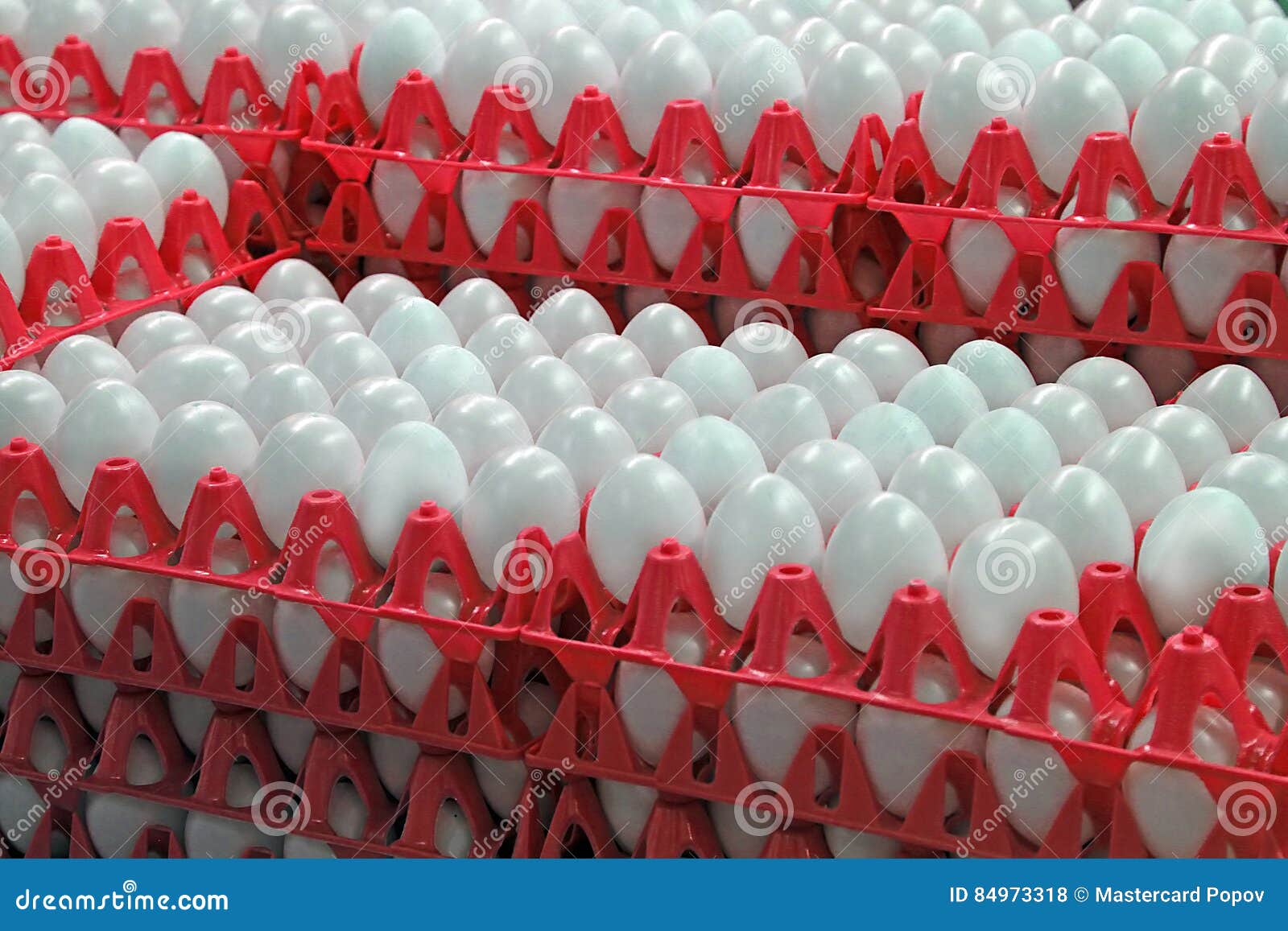 Chicken eggs in trays stock photo. Image of groceries 84973318