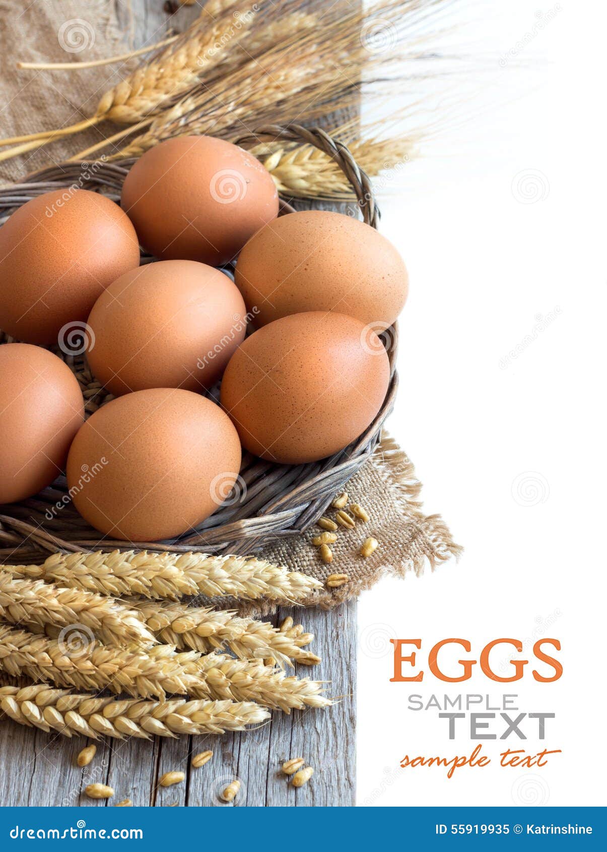 Chicken eggs and wheat stock image. Image of organic 55919935