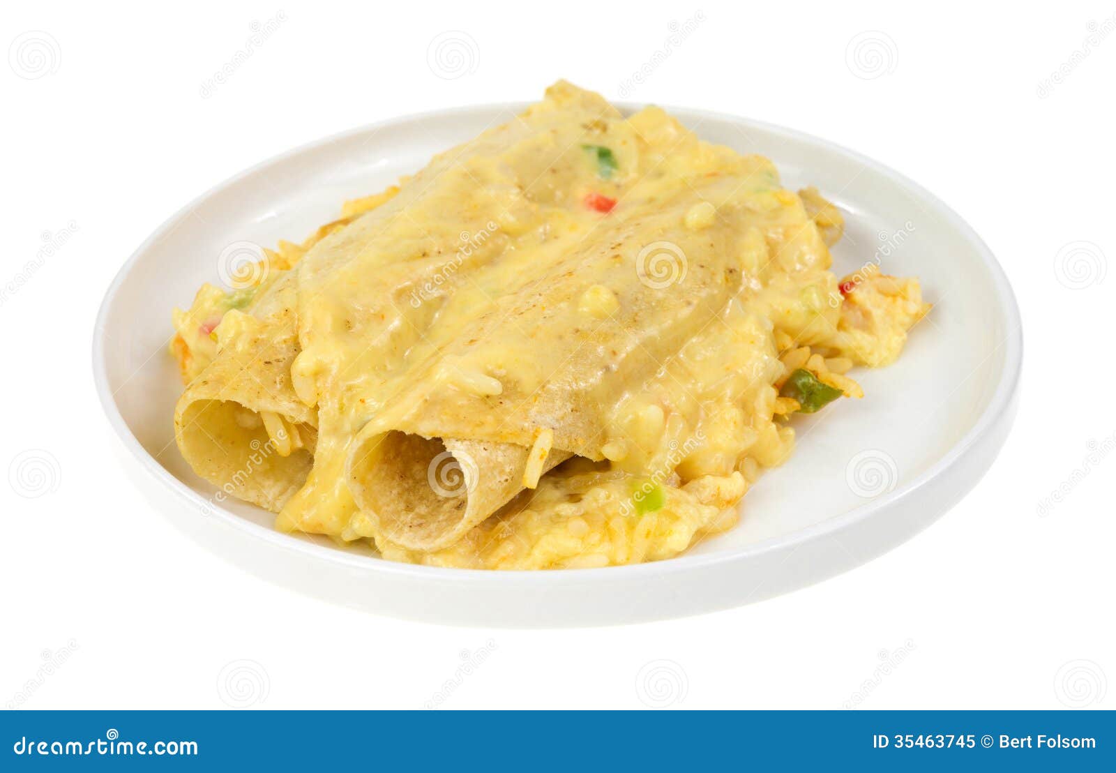 Chicken Enchiladas with Rice and Cheese Sauce Stock Image Image of