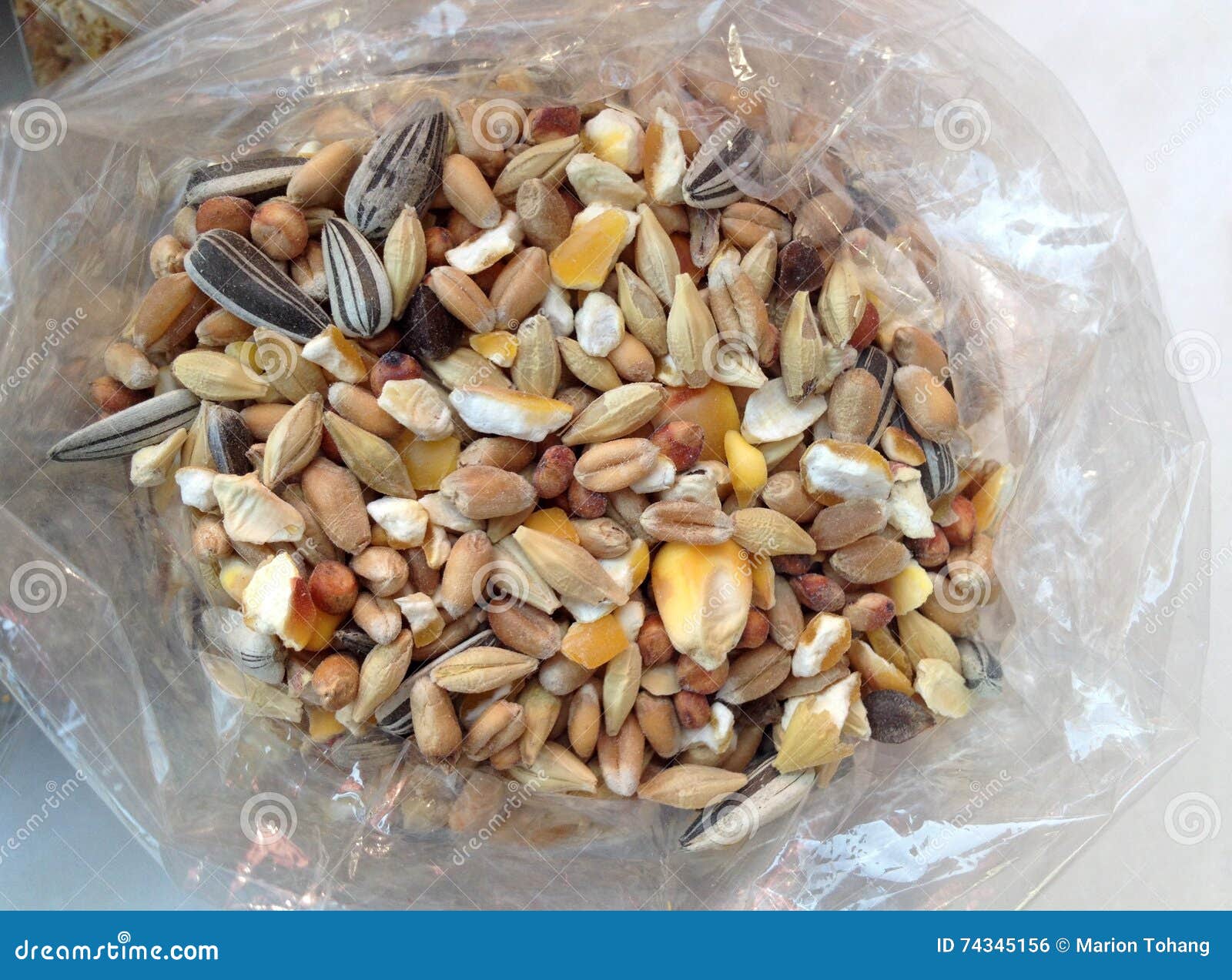 Chicken feed stock photo. Image of small, seeds, abstract 74345156