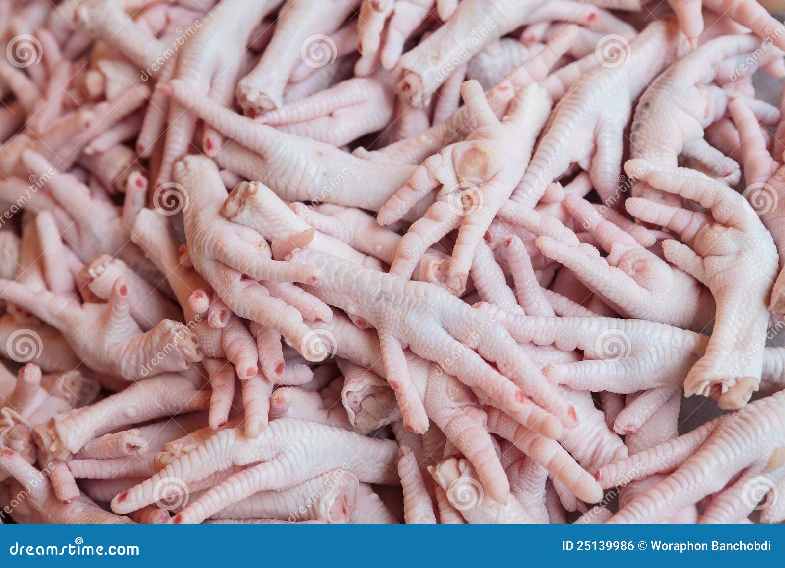 Chicken feet stock photo. Image of asia, feet, soup, oriental - 25139986