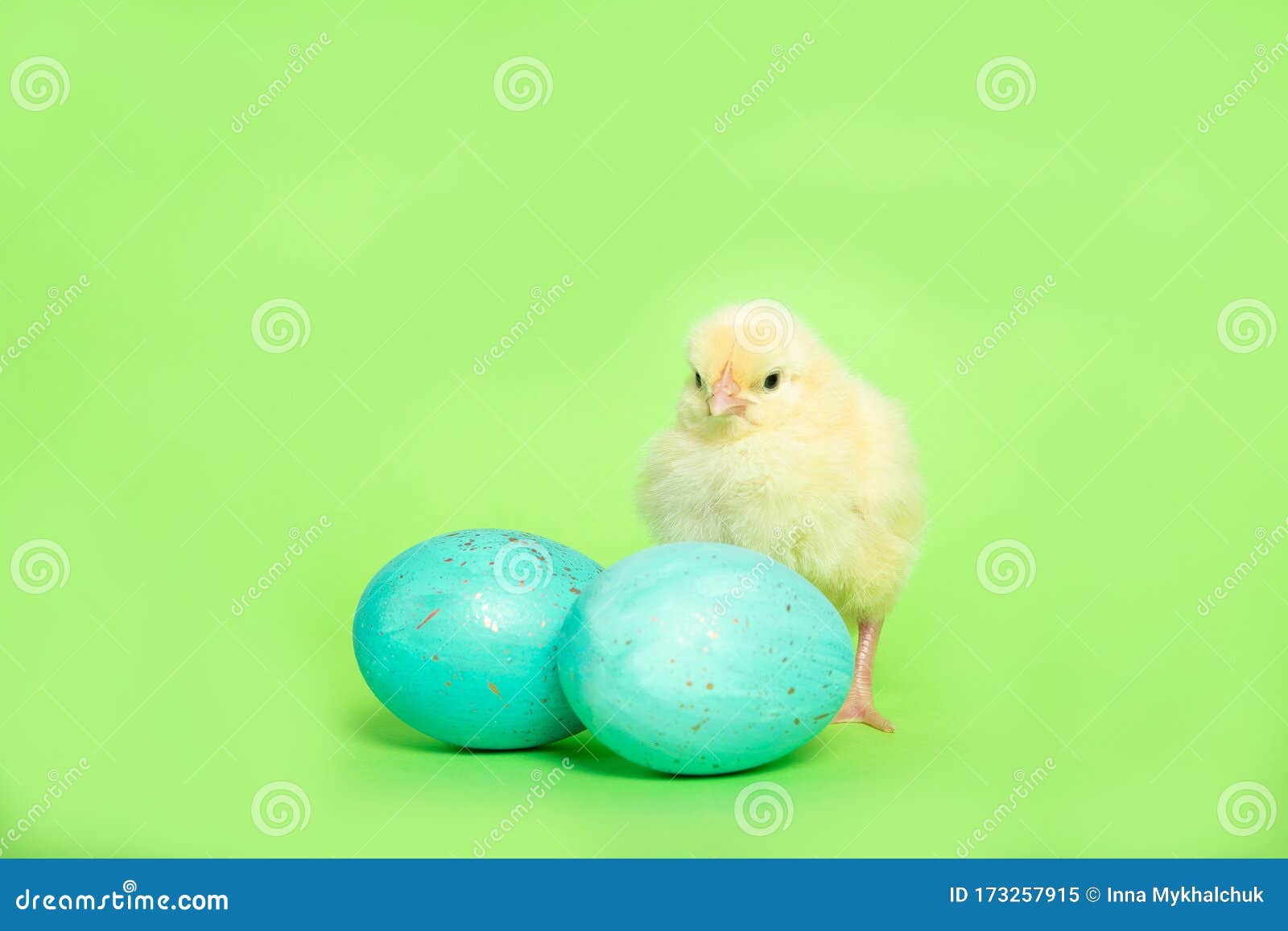 chicken on a green background with an easter egg, isolation