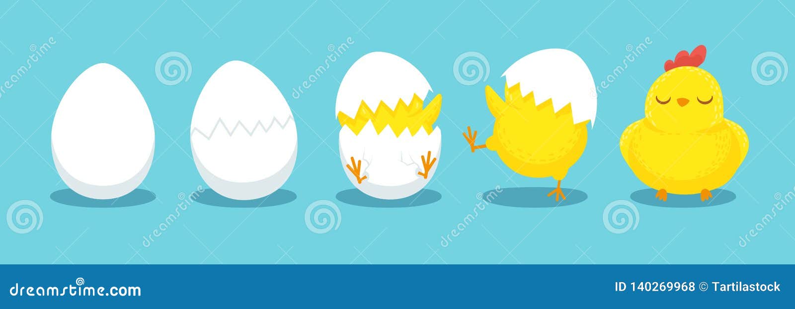 chicken hatching. cracked chick egg, hatch eggs and hatched easter chicks cartoon  