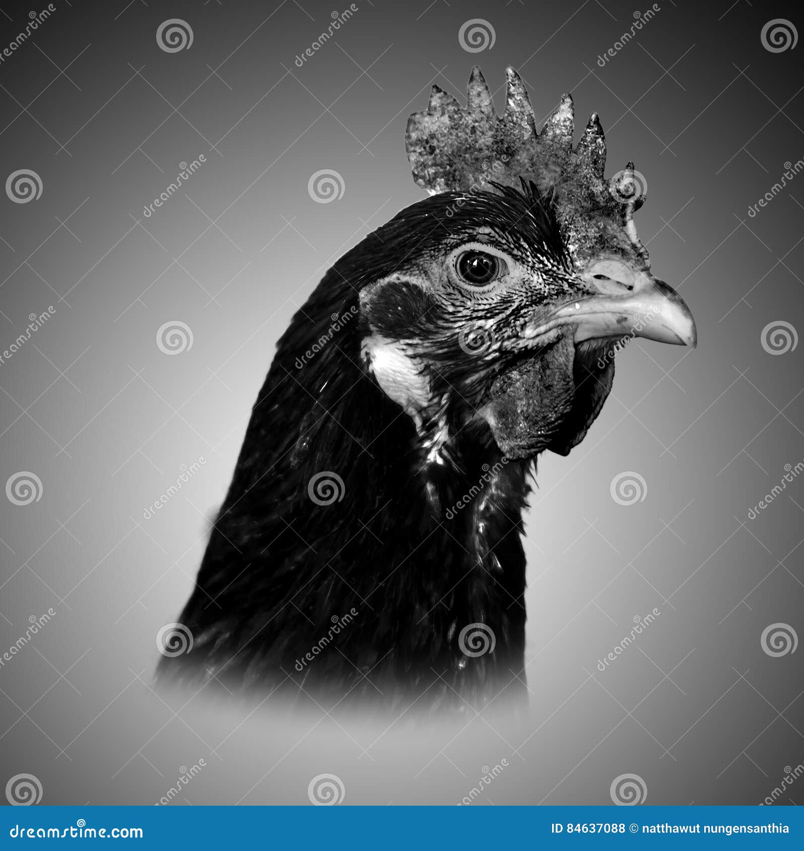 My Image 30