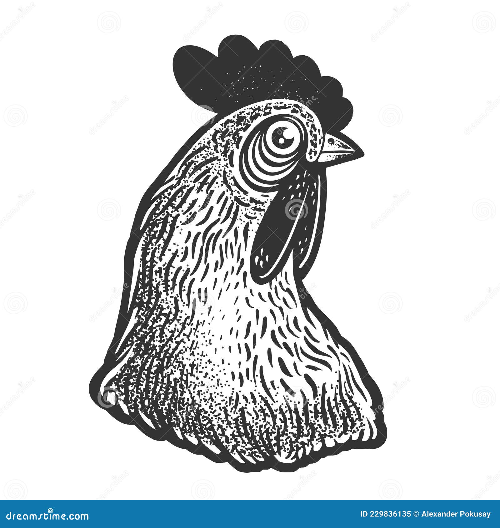 chicken head sketch  