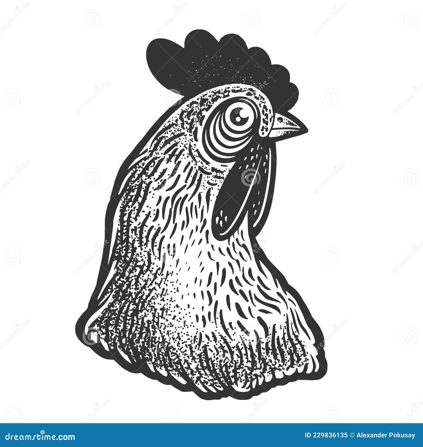 chicken bird animal head hen seen from the side 18847710 Vector Art at  Vecteezy