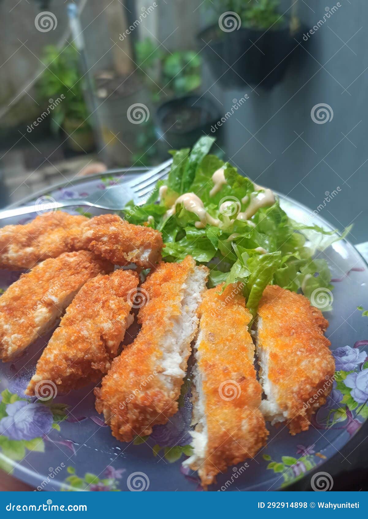 Chicken katsu with salad stock photo. Image of healthy 292914898
