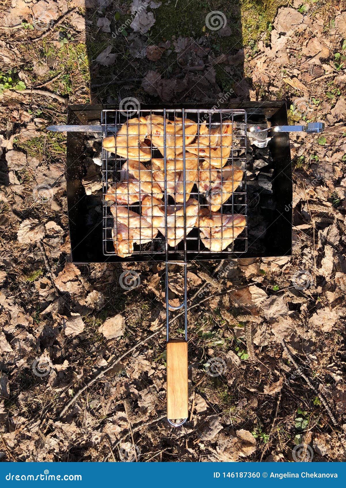Chicken Kebabs on the Grill in the Forest Stock Photo Image of kebabs