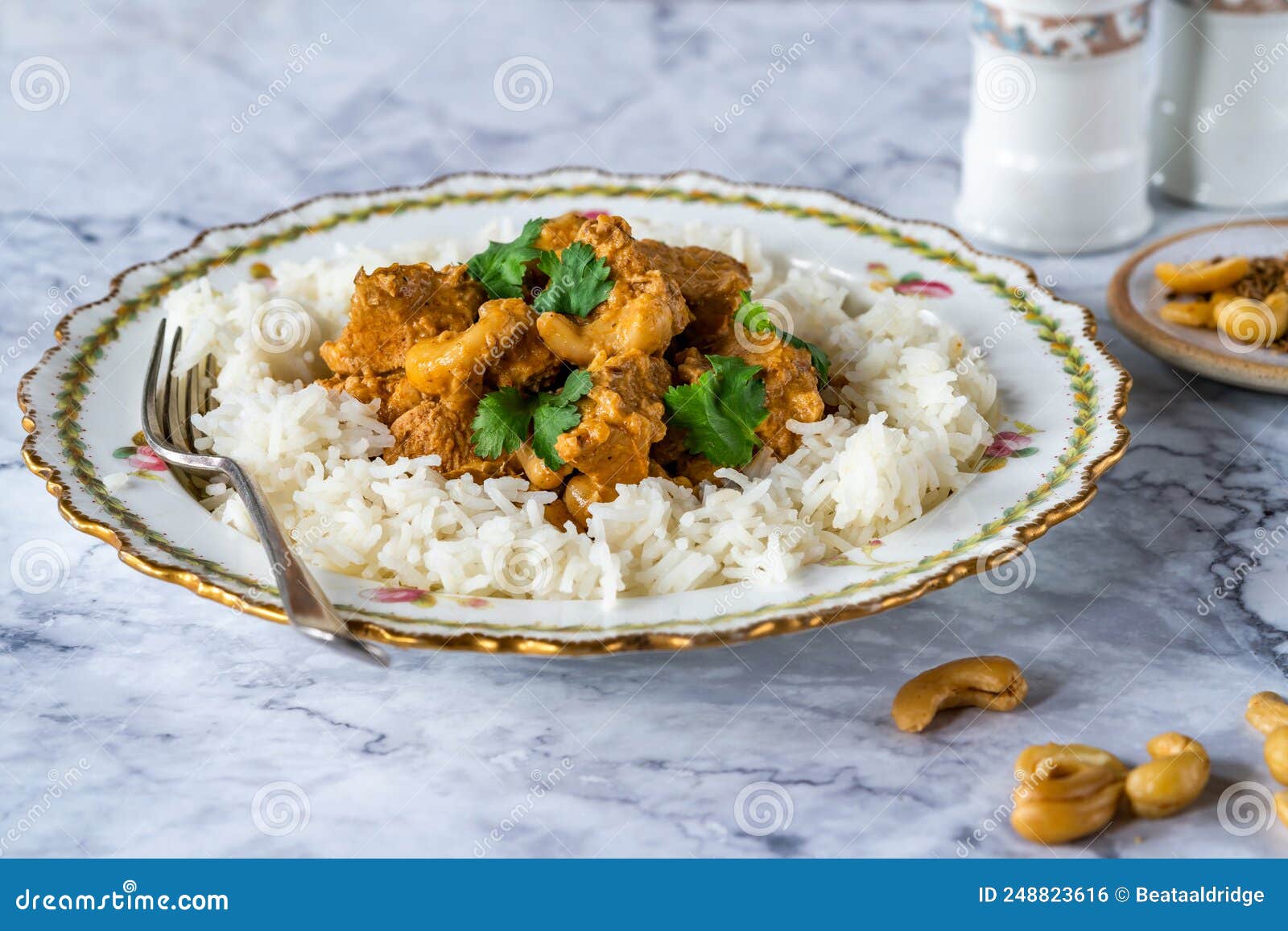 Chicken korma curry stock photo. Image of mild, food 248823616