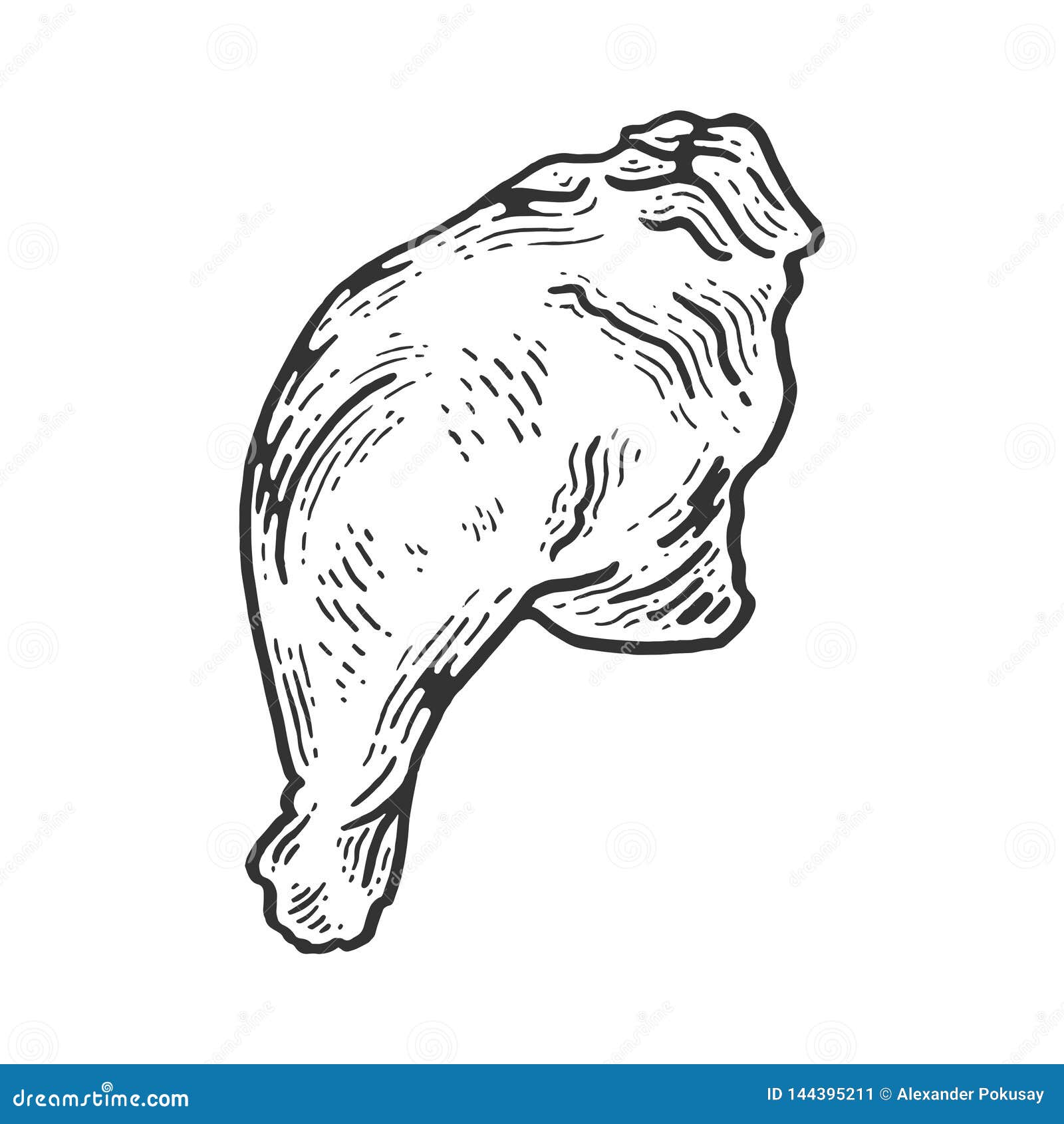 Chicken leg icon on white background, Stock Vector, Vector And Low Budget  Royalty Free Image. Pic. ESY-057470233 | agefotostock