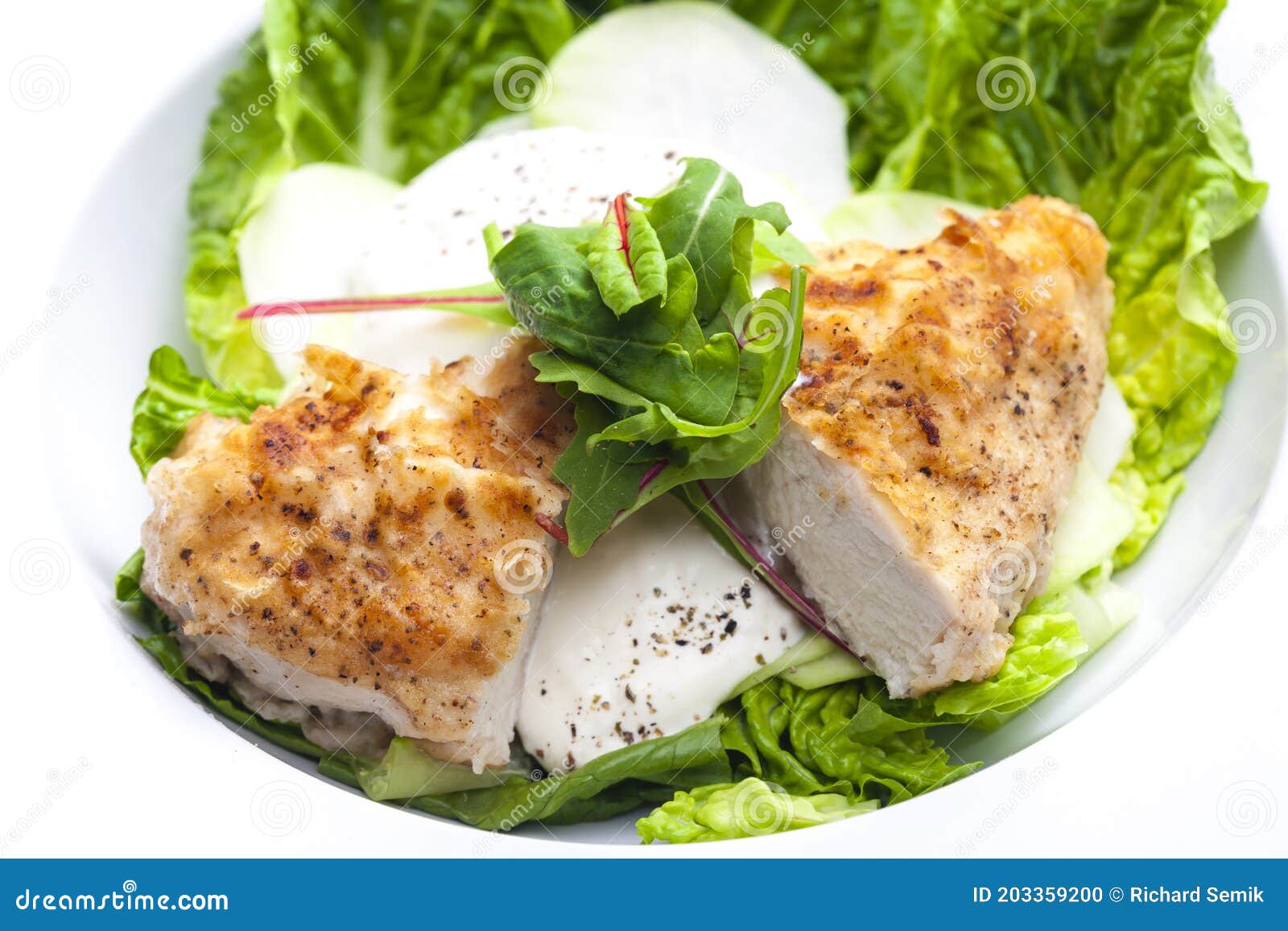 Chicken Meat with Kohlrabi and Garlic Sauce Stock Photo Image of
