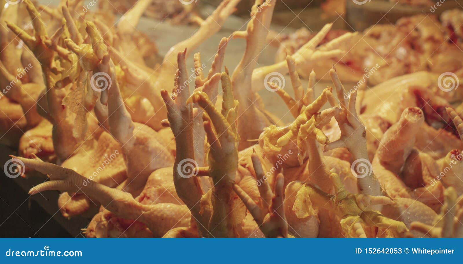 Chicken Meat in Traditional Market Stock Image Image of butchery