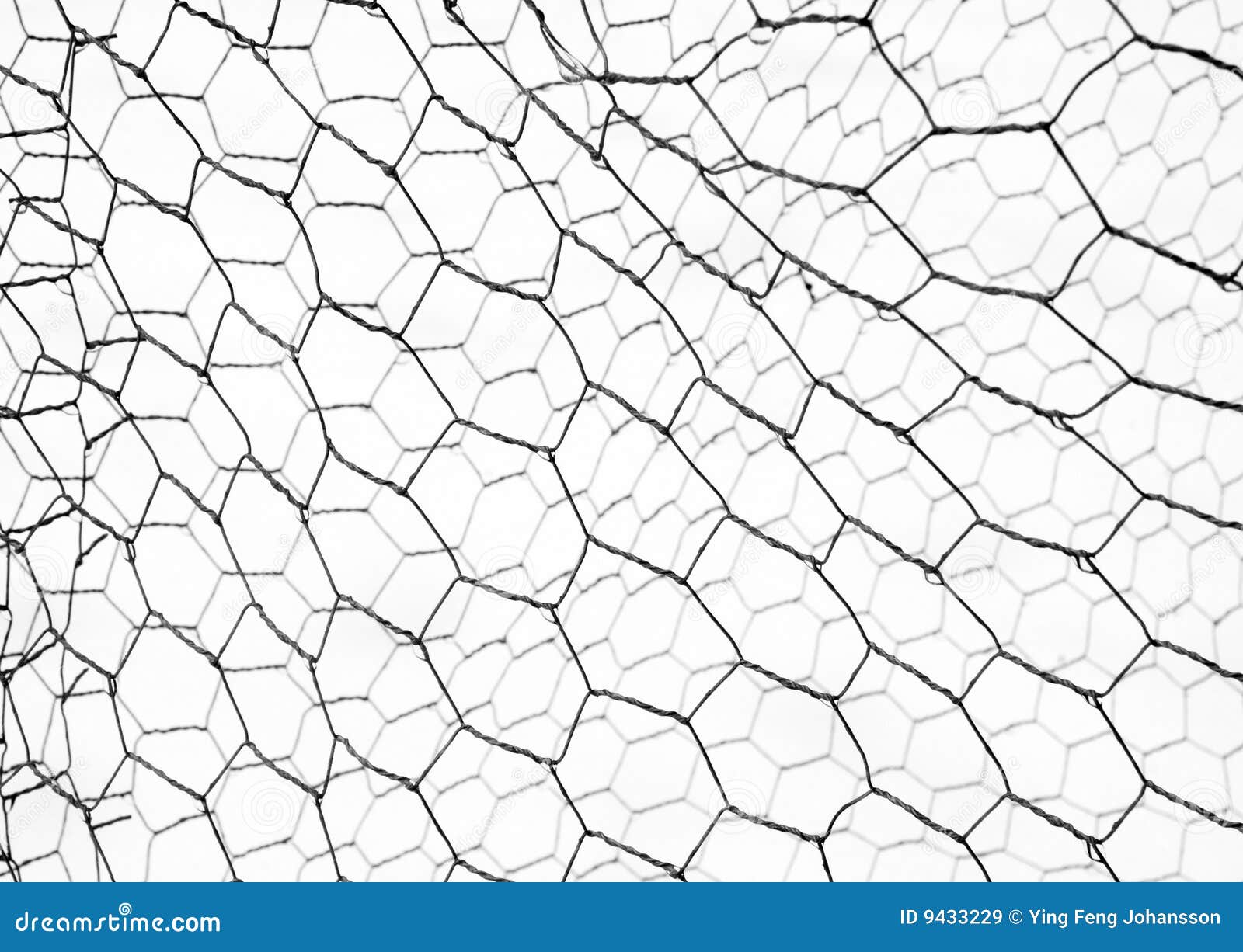 Chicken net stock image. Image of white, hexagon, strength - 9433229