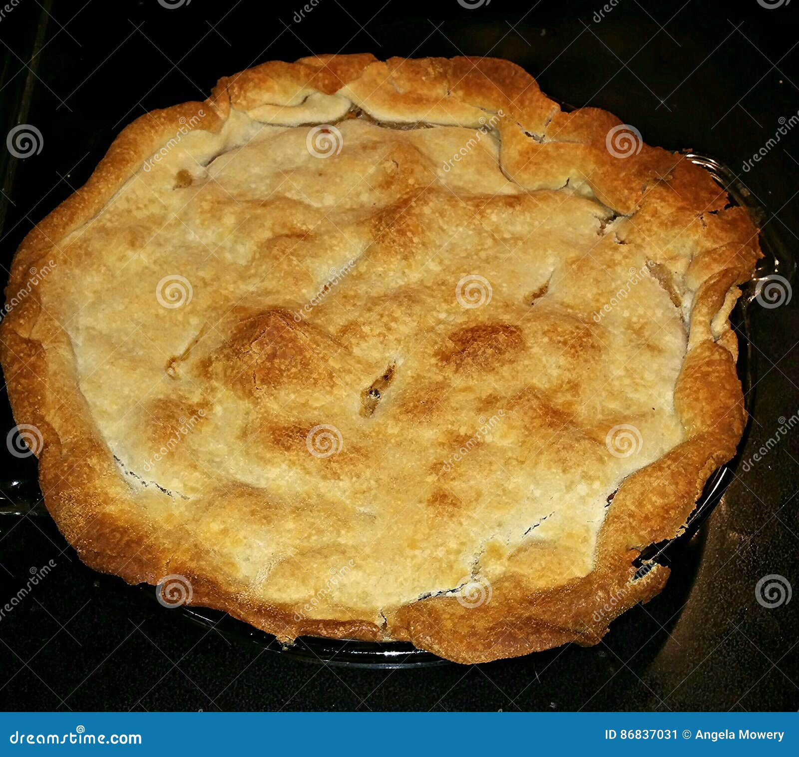 Chicken Pot Pie stock image. Image of chicken, southern ...