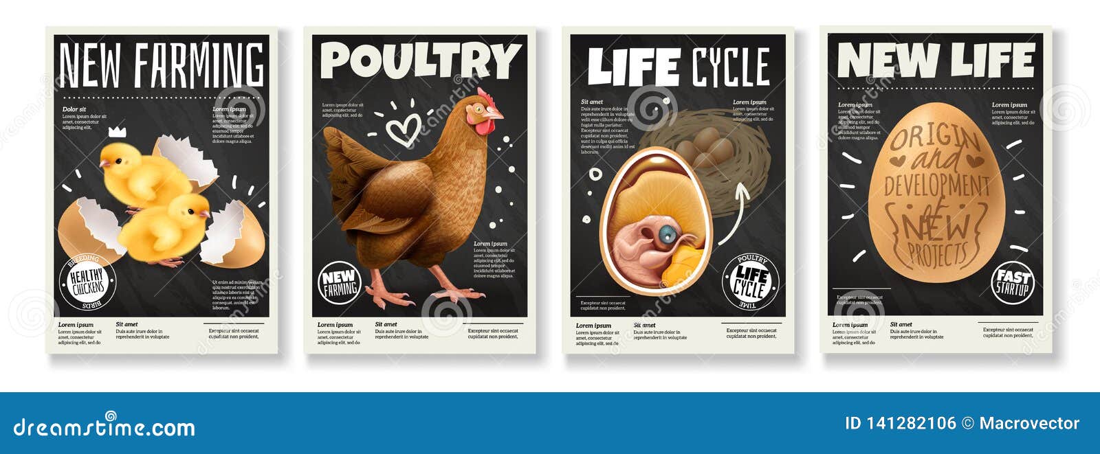chicken realistic posters set